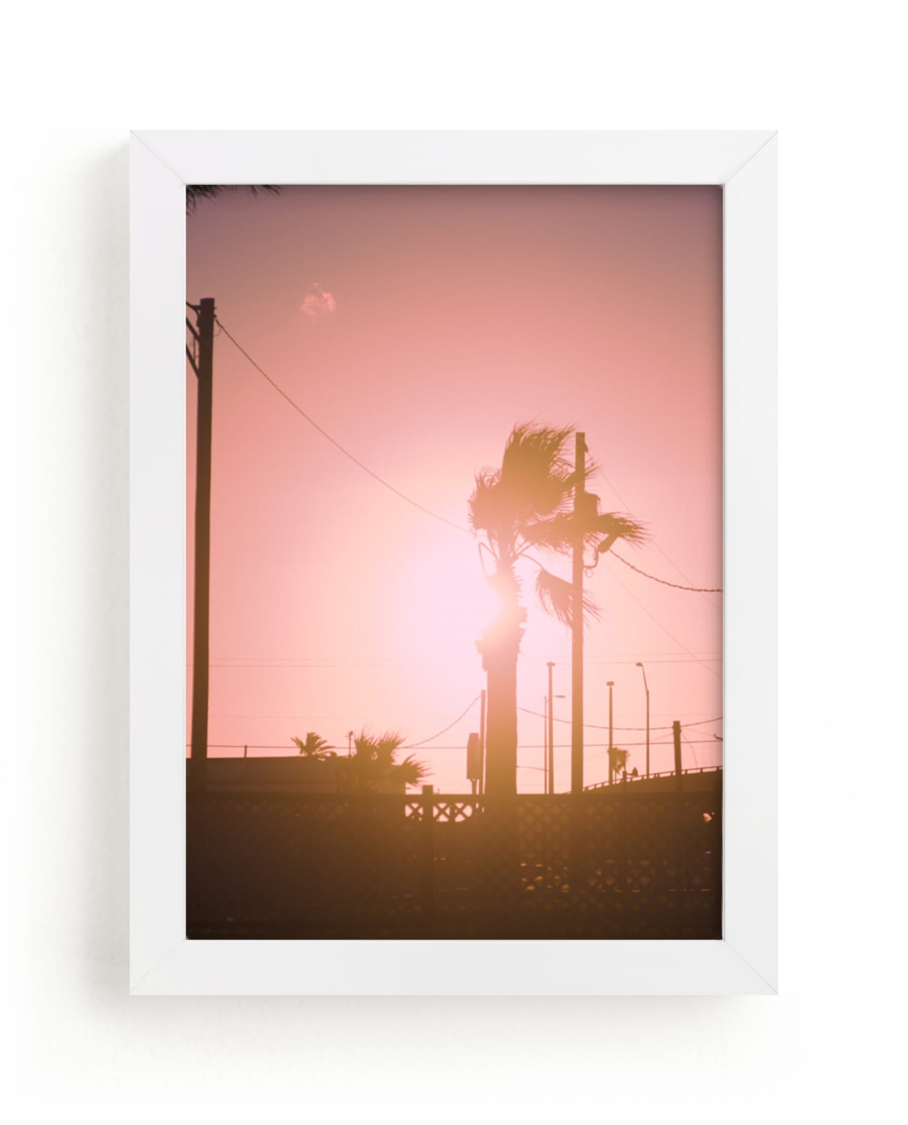 "Pink Palm" - Limited Edition Art Print by Erin Beutel in beautiful frame options and a variety of sizes.