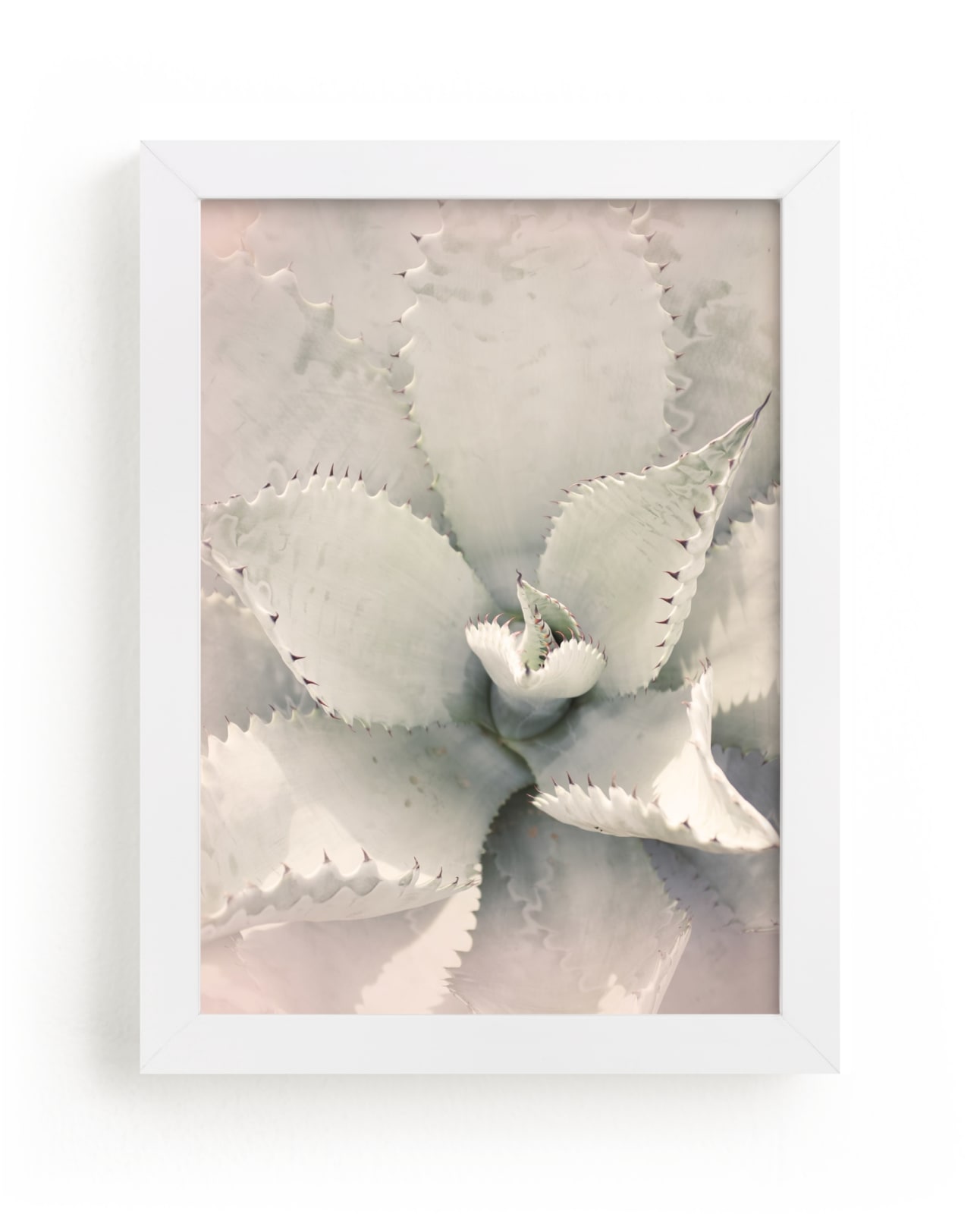 "Southwestern Succulent" - Limited Edition Art Print by Wilder California in beautiful frame options and a variety of sizes.