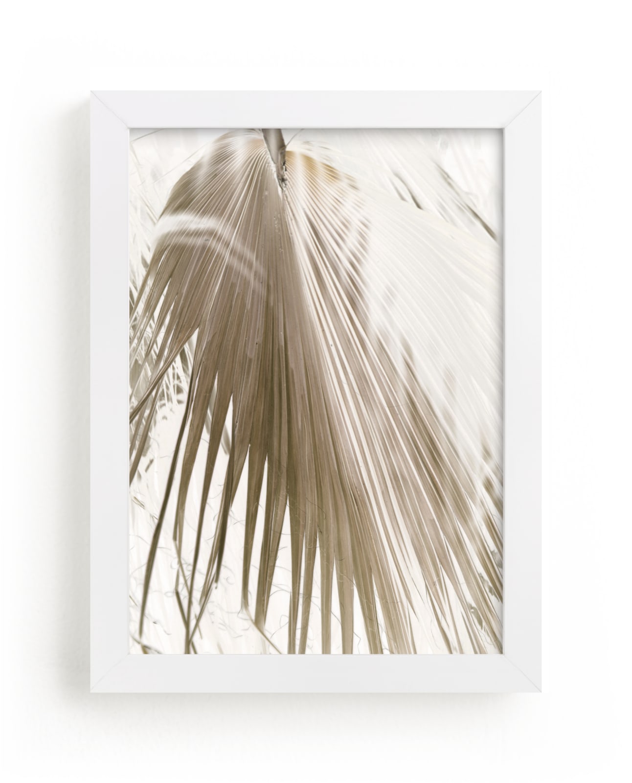"Vanilla Palm" - Limited Edition Art Print by Owl and Toad in beautiful frame options and a variety of sizes.
