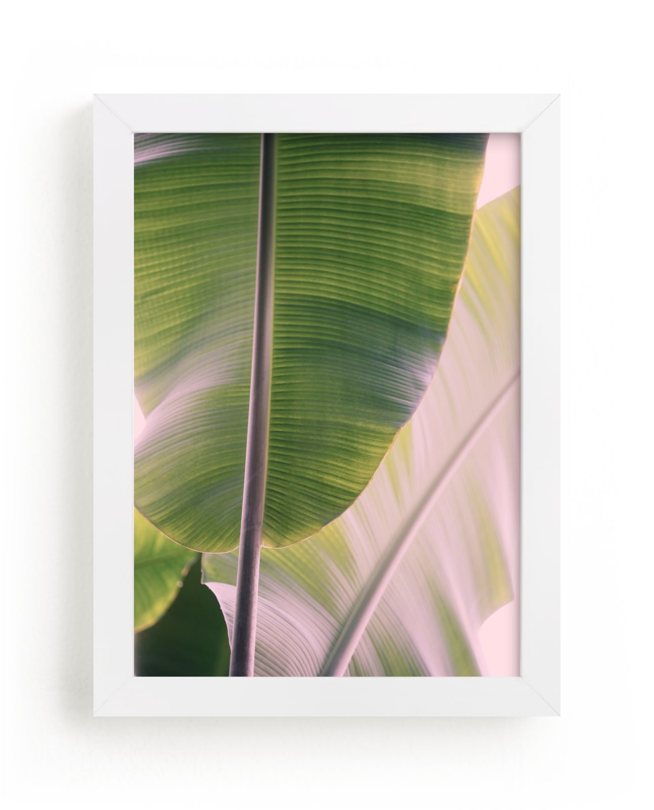 "Tropic" - Limited Edition Art Print by ALICIA BOCK in beautiful frame options and a variety of sizes.