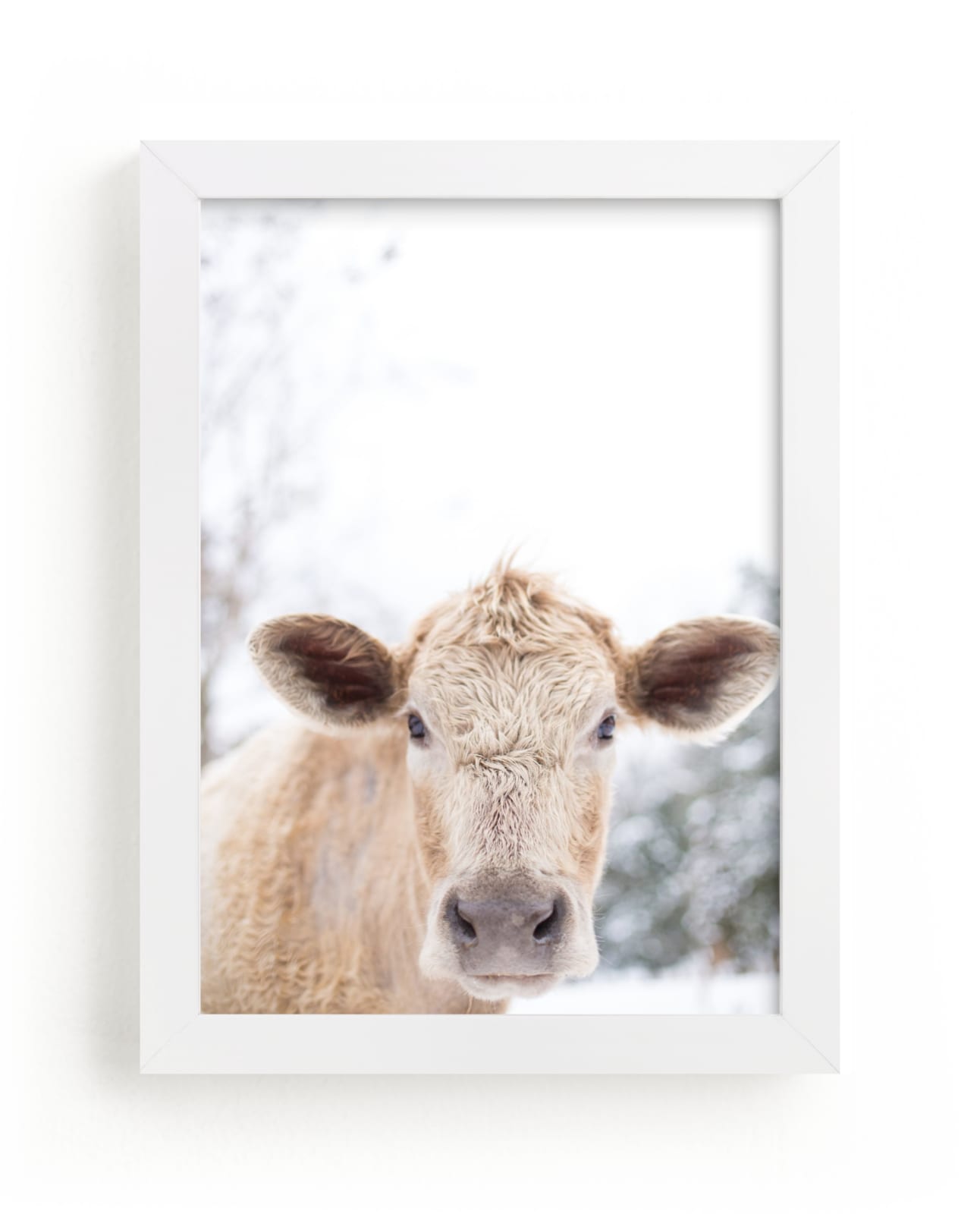 "moo cow" - Limited Edition Art Print by Emily Gilbert in beautiful frame options and a variety of sizes.