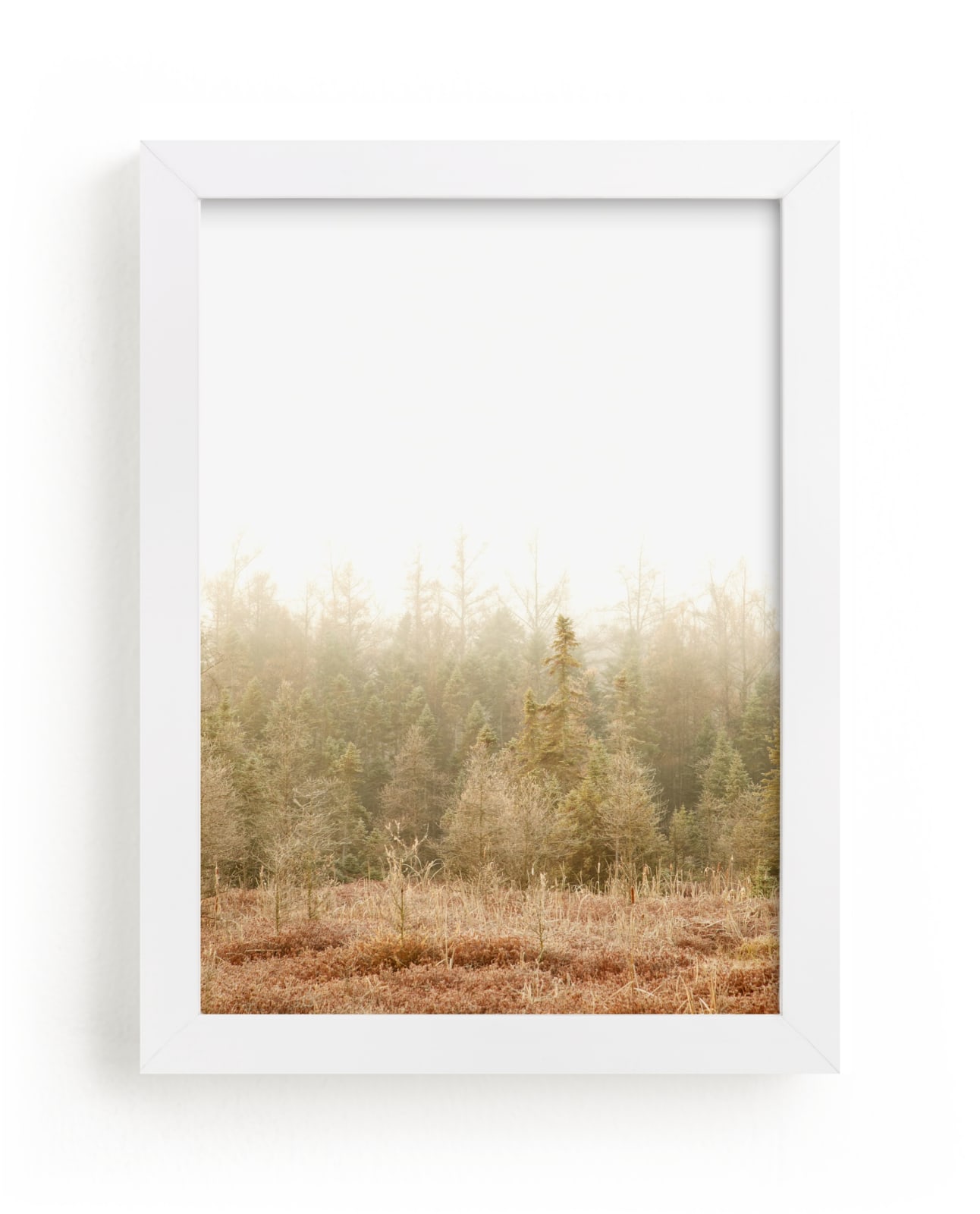 "Blushing Bog" - Limited Edition Art Print by Jennifer Squires in beautiful frame options and a variety of sizes.