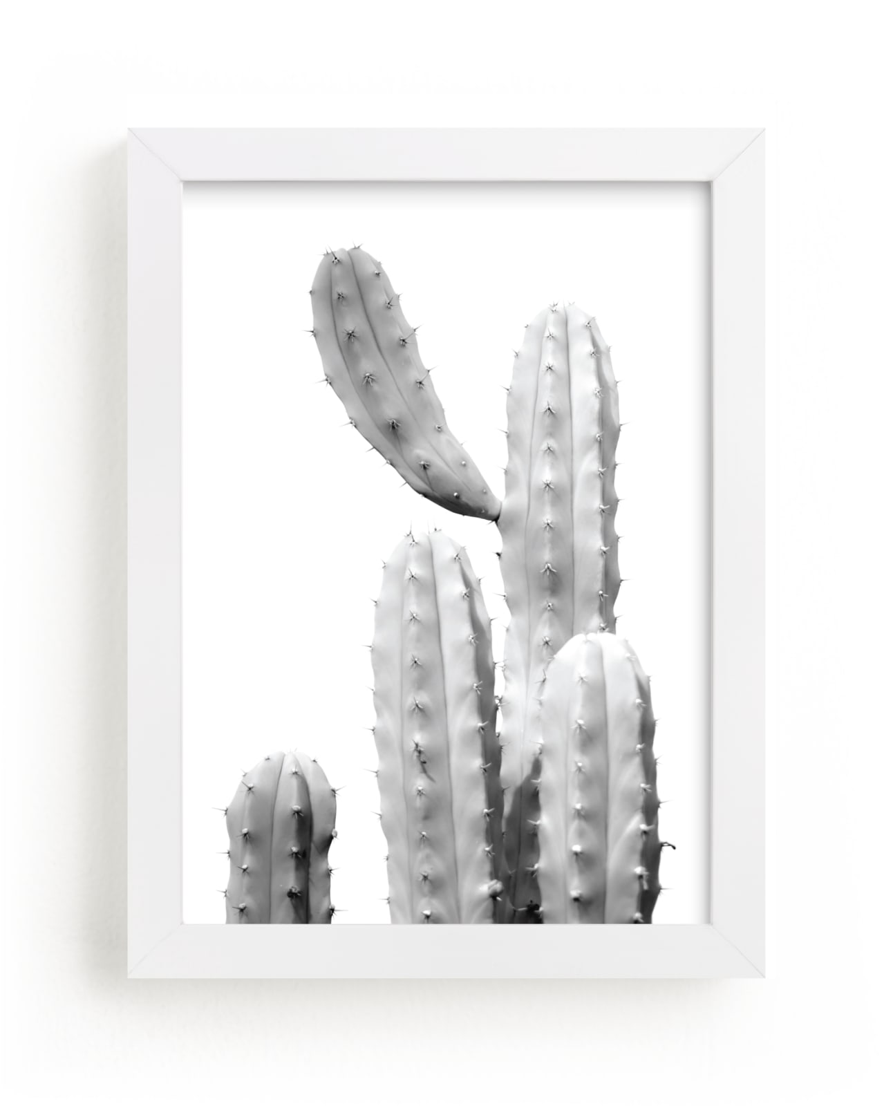 "Moorten Cactus Study 1" - Limited Edition Art Print by Lisa Sundin in beautiful frame options and a variety of sizes.