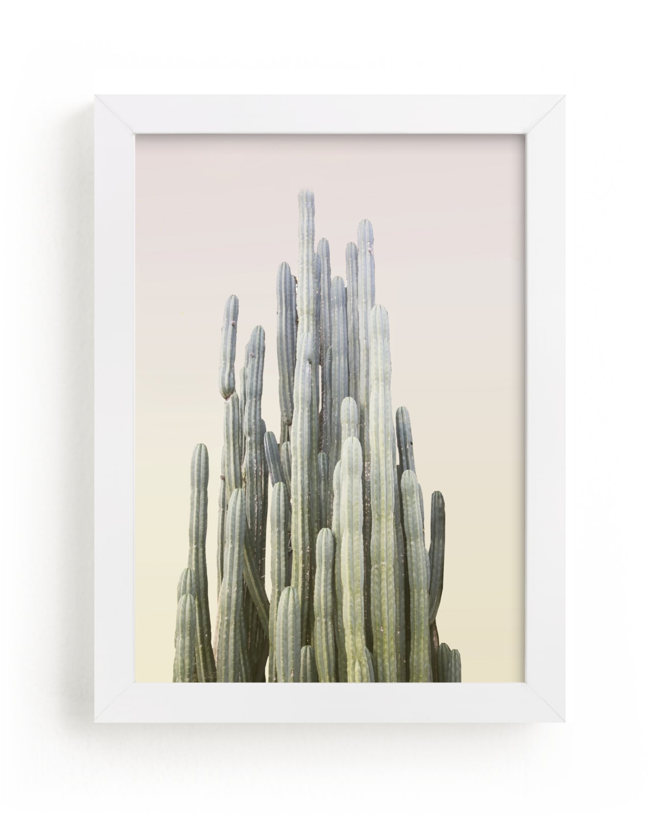 "Summer Yellow Cactus" - Limited Edition Art Print by Wilder California in beautiful frame options and a variety of sizes.