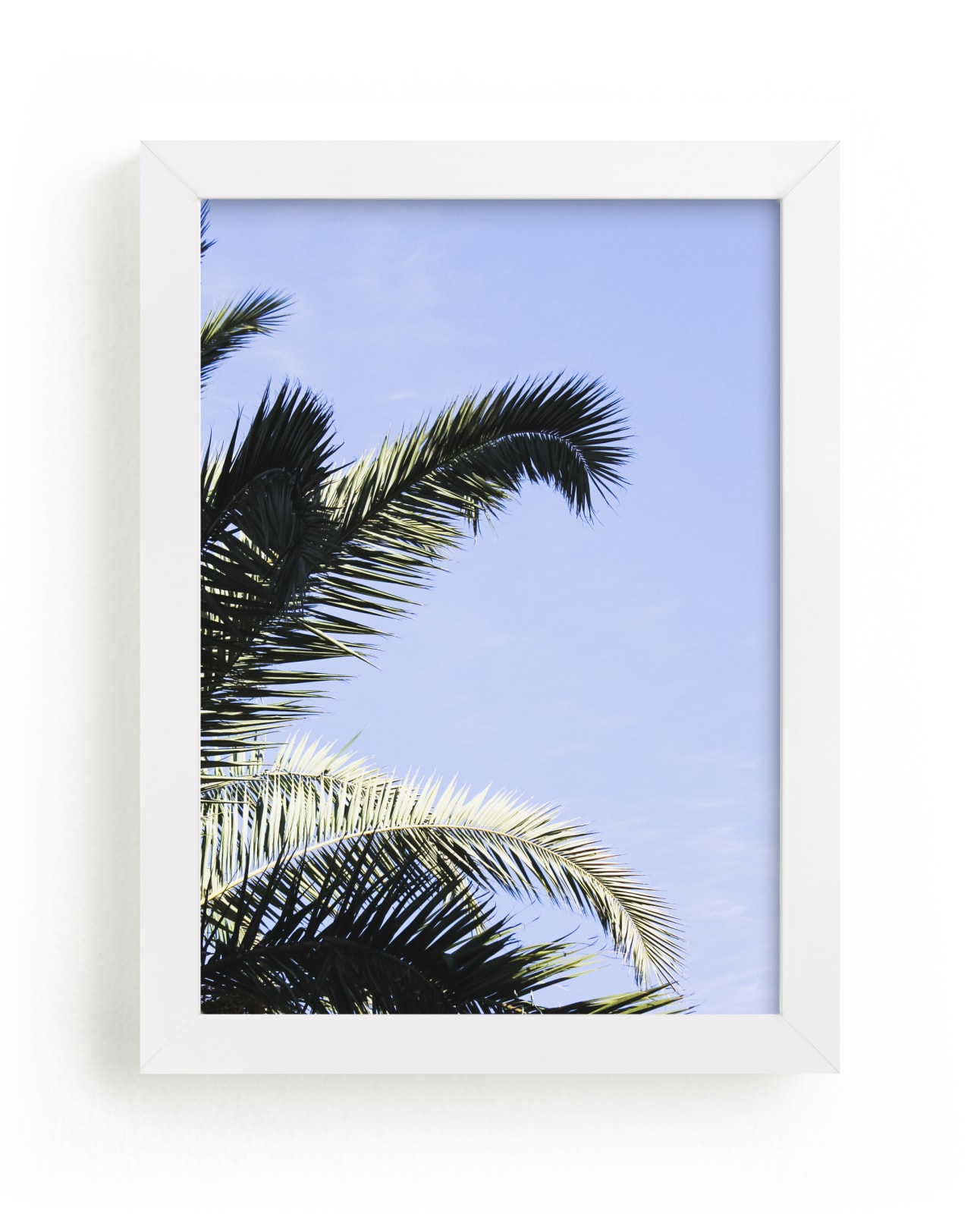 "Palm II" - Limited Edition Art Print by Annie Montgomery in beautiful frame options and a variety of sizes.