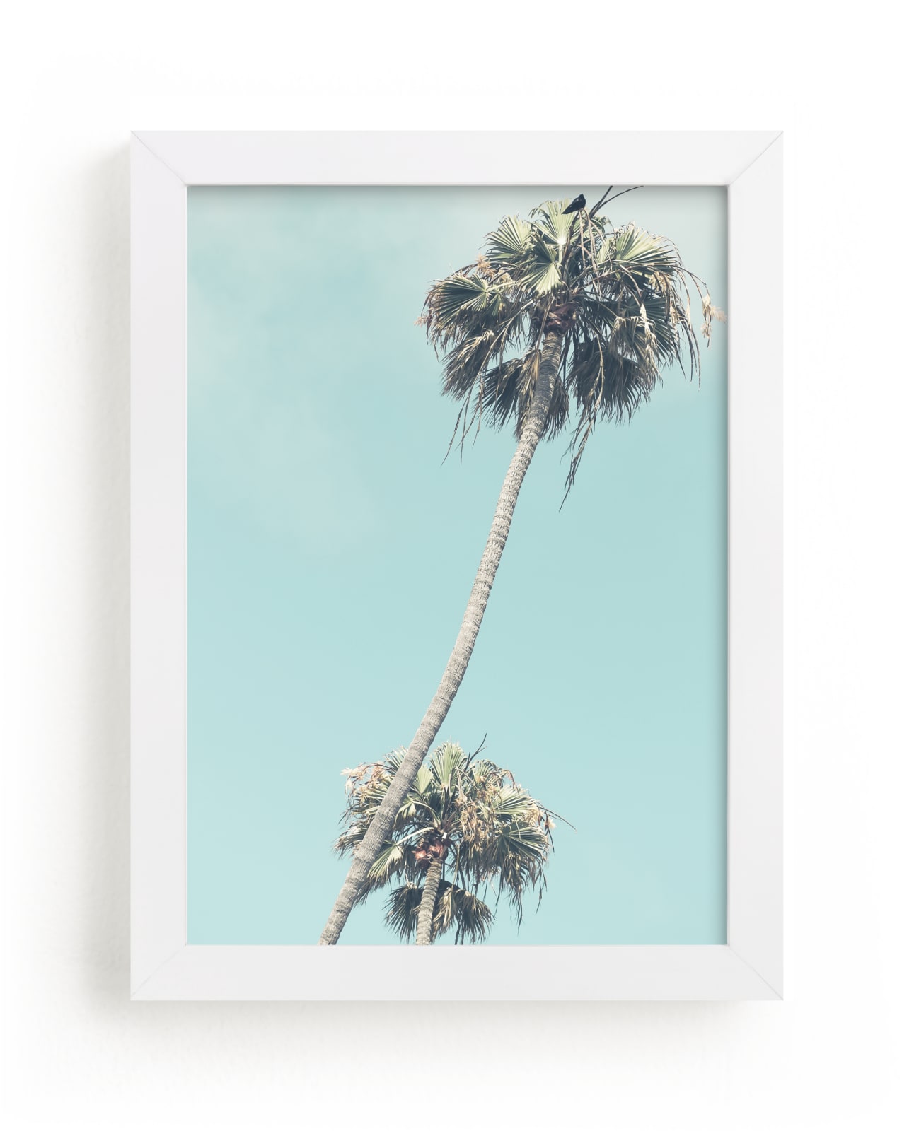 "Palms for Days" - Limited Edition Art Print by Shannon Howard in beautiful frame options and a variety of sizes.