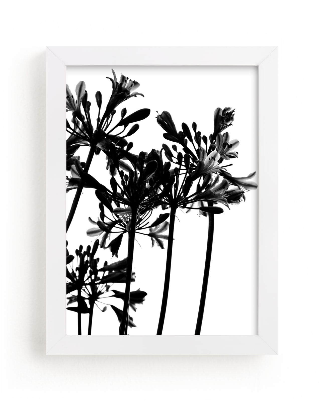 "High Drama" - Art Print in Black and White by Nadia Hassan - Framed
