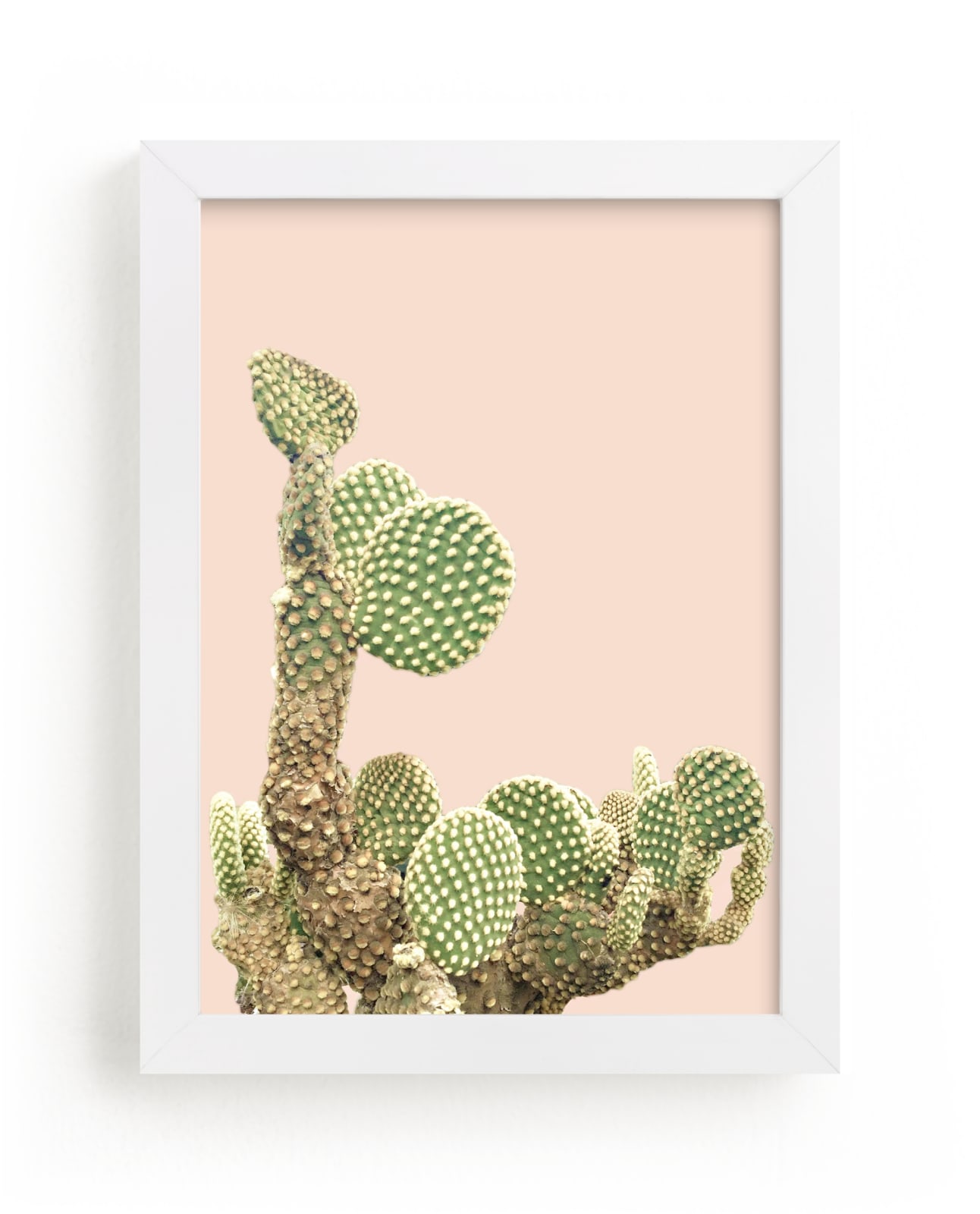 "cactus coins" - Open Edition Fine Art Print by Baumbirdy in beautiful frame options and a variety of sizes.