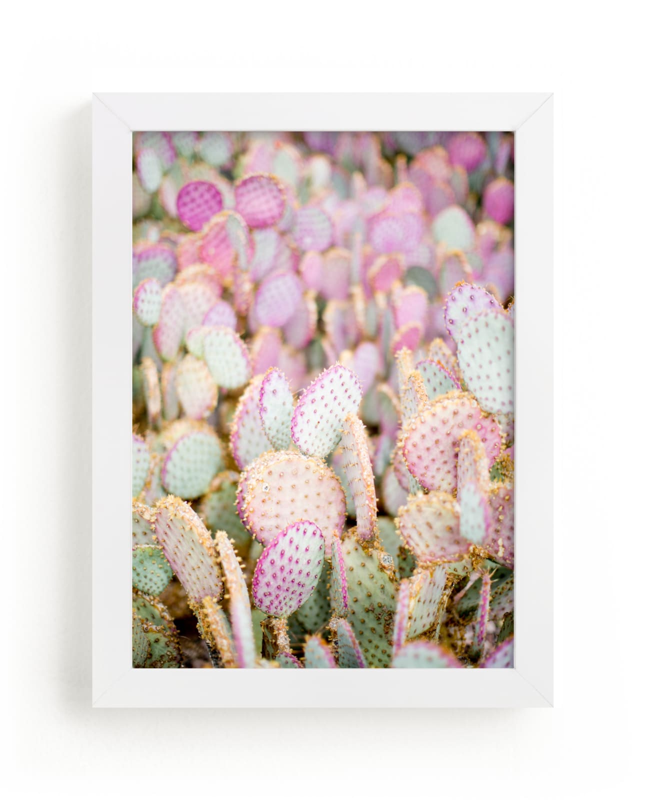 "PINK CACTI" - Grownup Open Edition Non-custom Art Print by Shannon Kirsten in beautiful frame options and a variety of sizes.