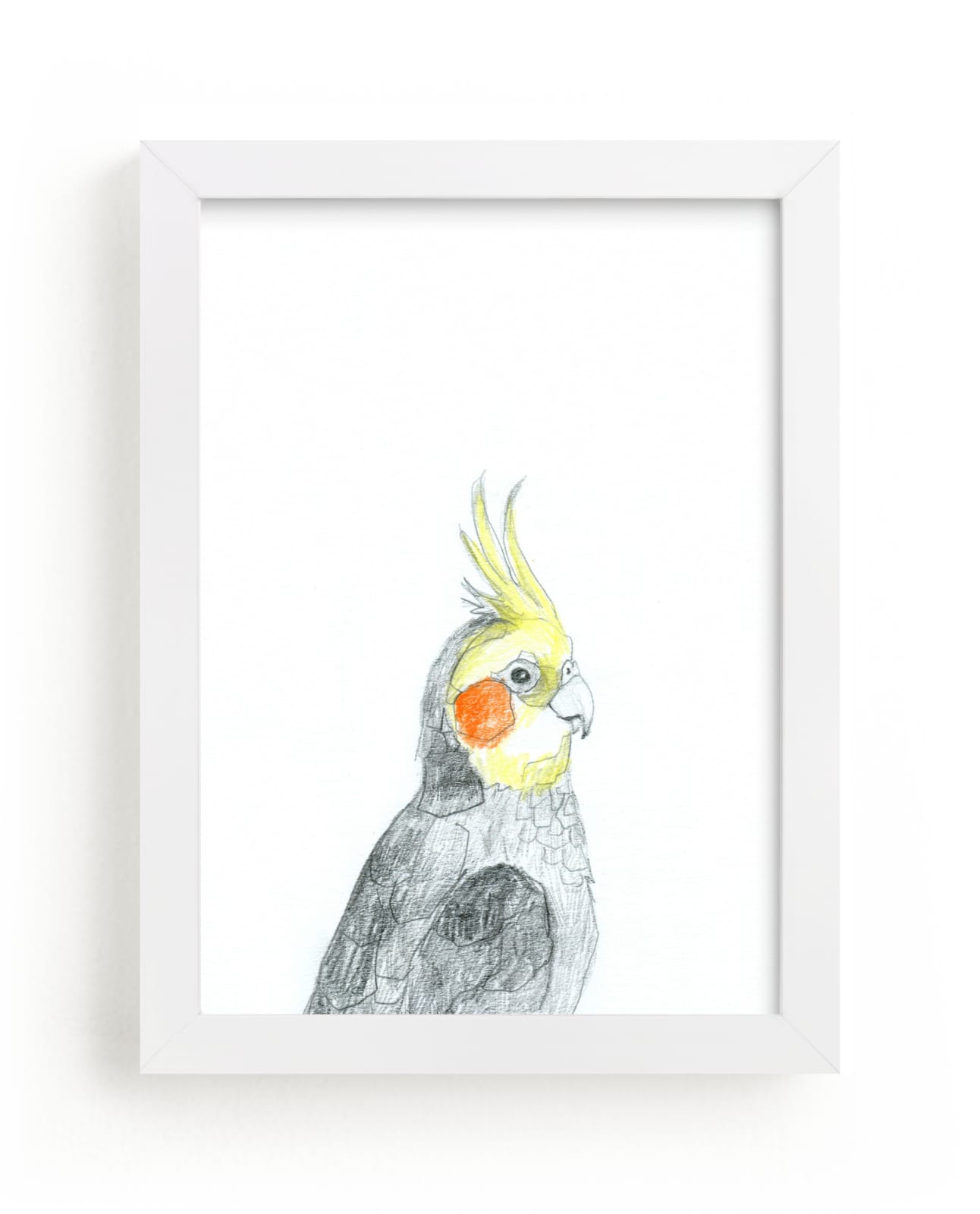 "Cockatiel" - Limited Edition Art Print by Kirsta Benedetti in beautiful frame options and a variety of sizes.