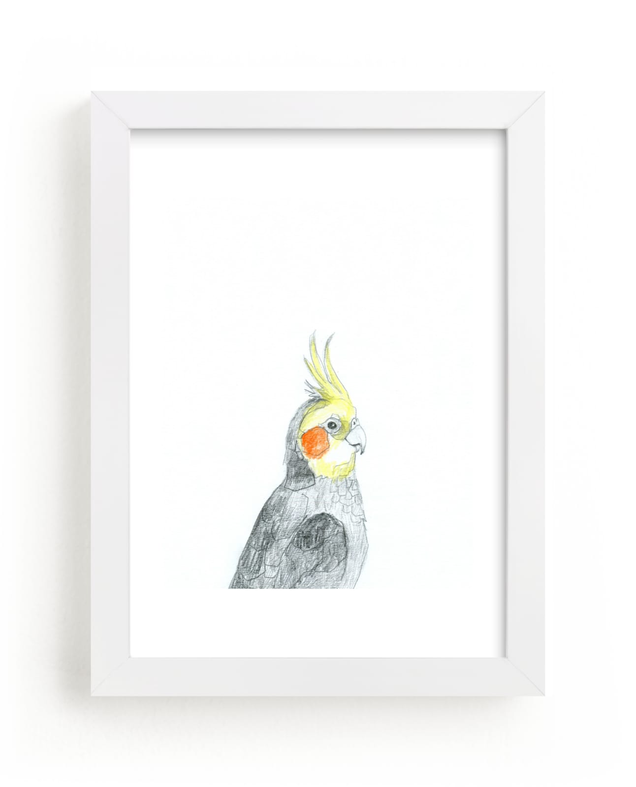 "Cockatiel" - Limited Edition Art Print by Kirsta Benedetti in beautiful frame options and a variety of sizes.