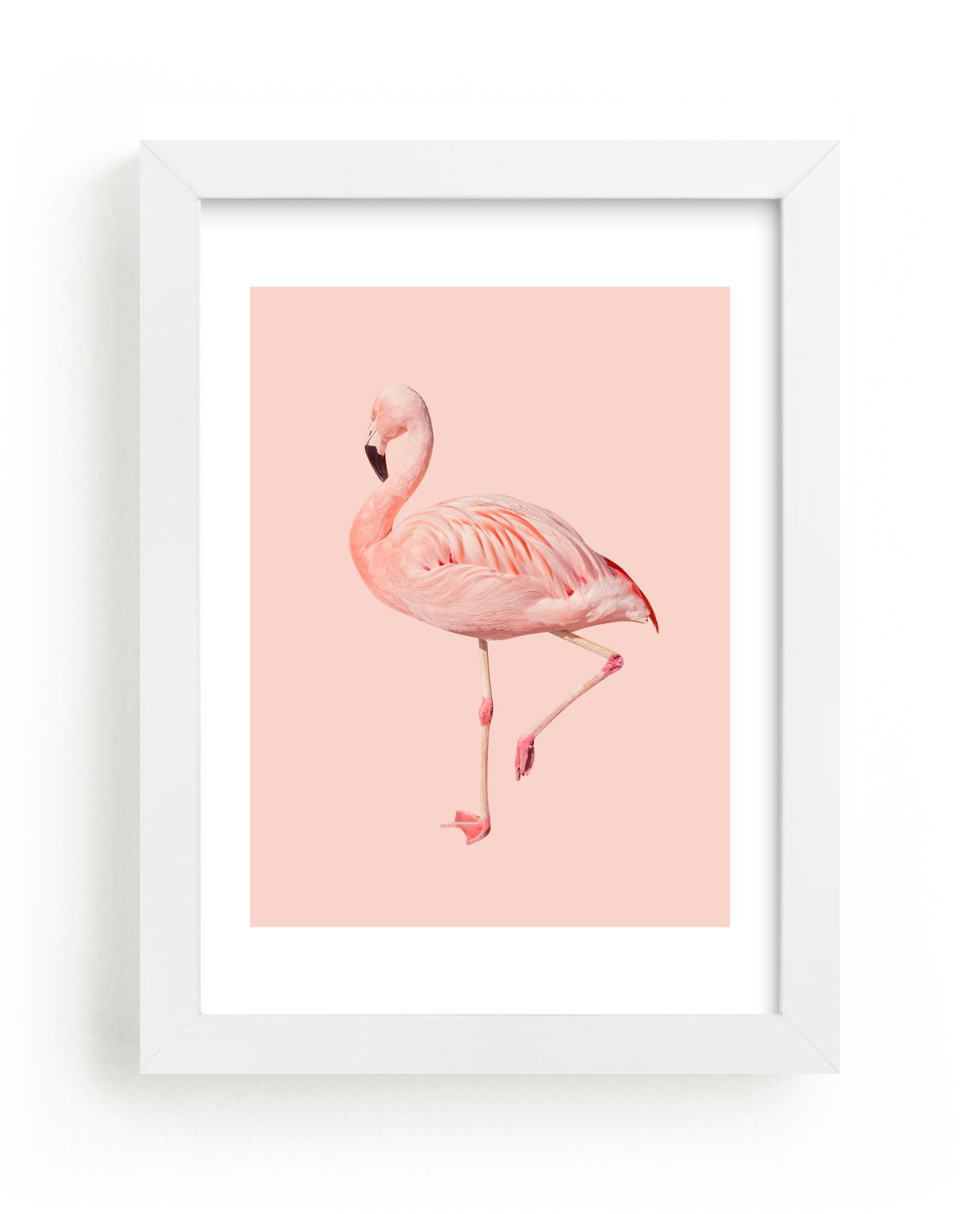 "Pink Flamingo" - Limited Edition Art Print by Jessica C Nugent in beautiful frame options and a variety of sizes.