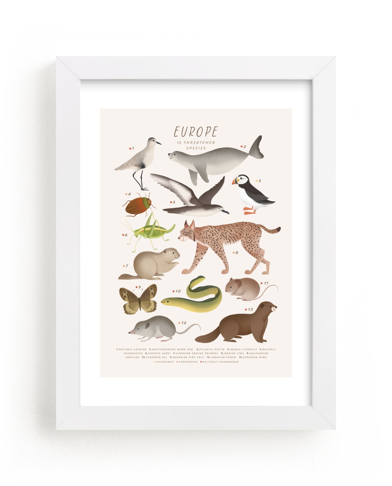 "Europe, endangered animals" by Sabrin Deirani in beautiful frame options and a variety of sizes.