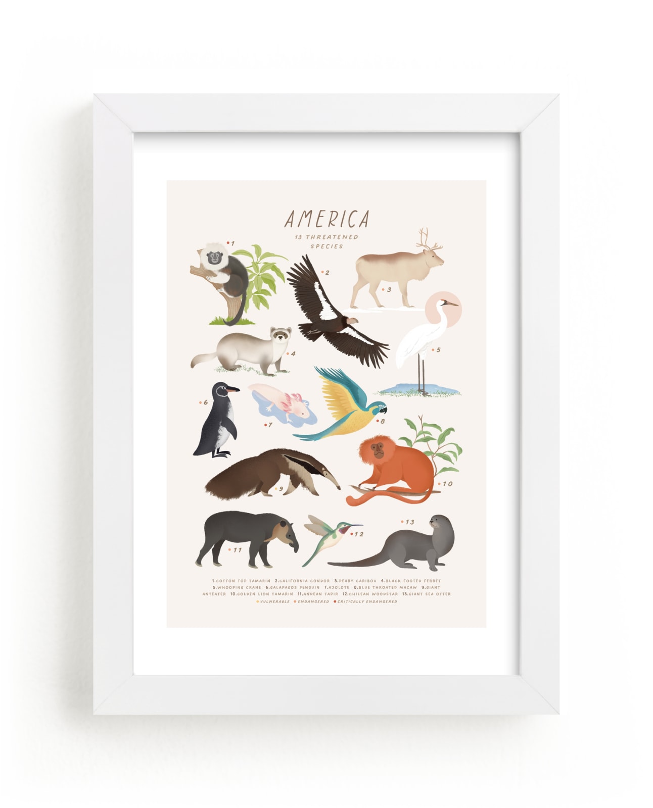 "America, endangered animals" by Sabrin Deirani in beautiful frame options and a variety of sizes.