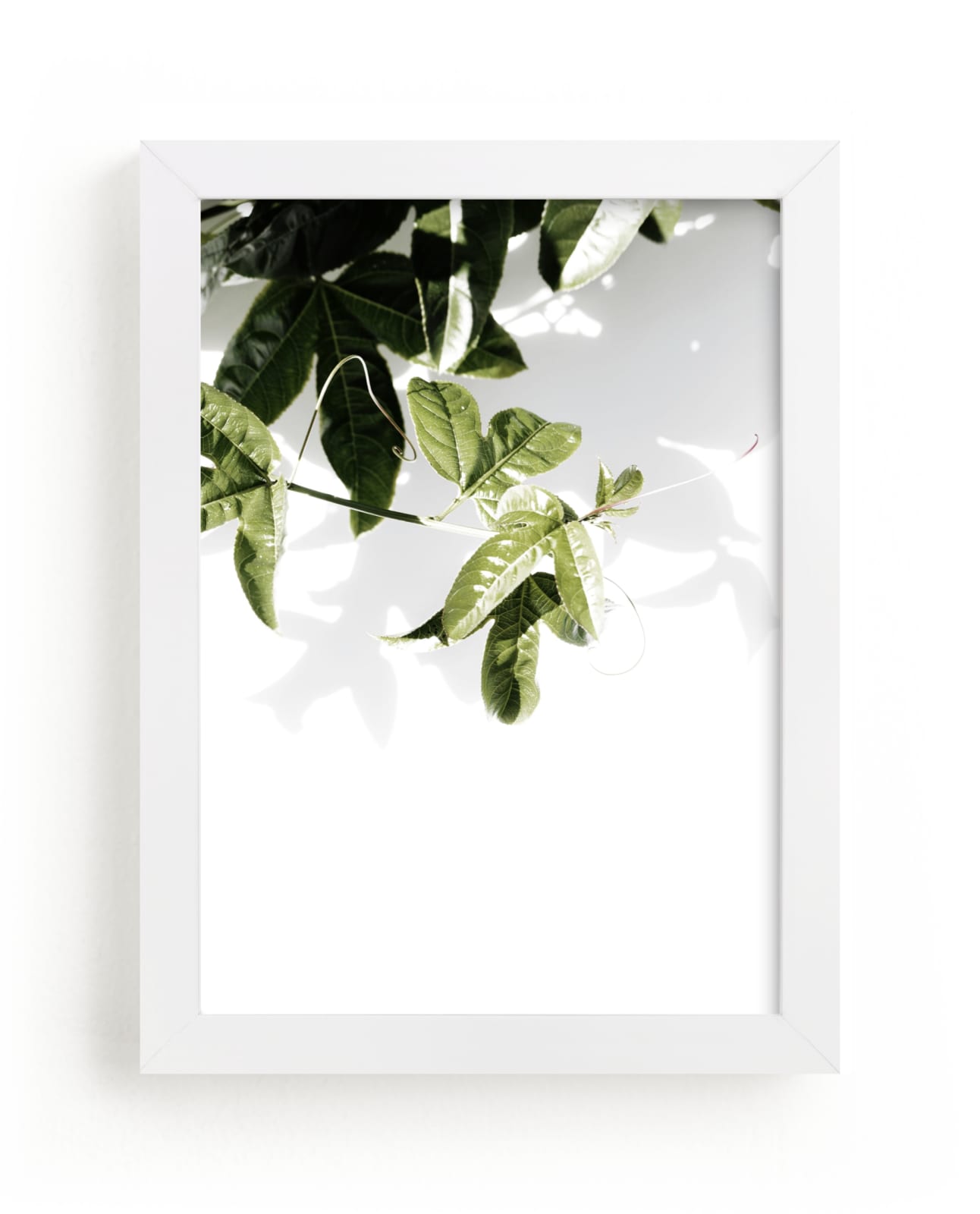 "Passionfruit" - Art Print by Blustery August in beautiful frame options and a variety of sizes.