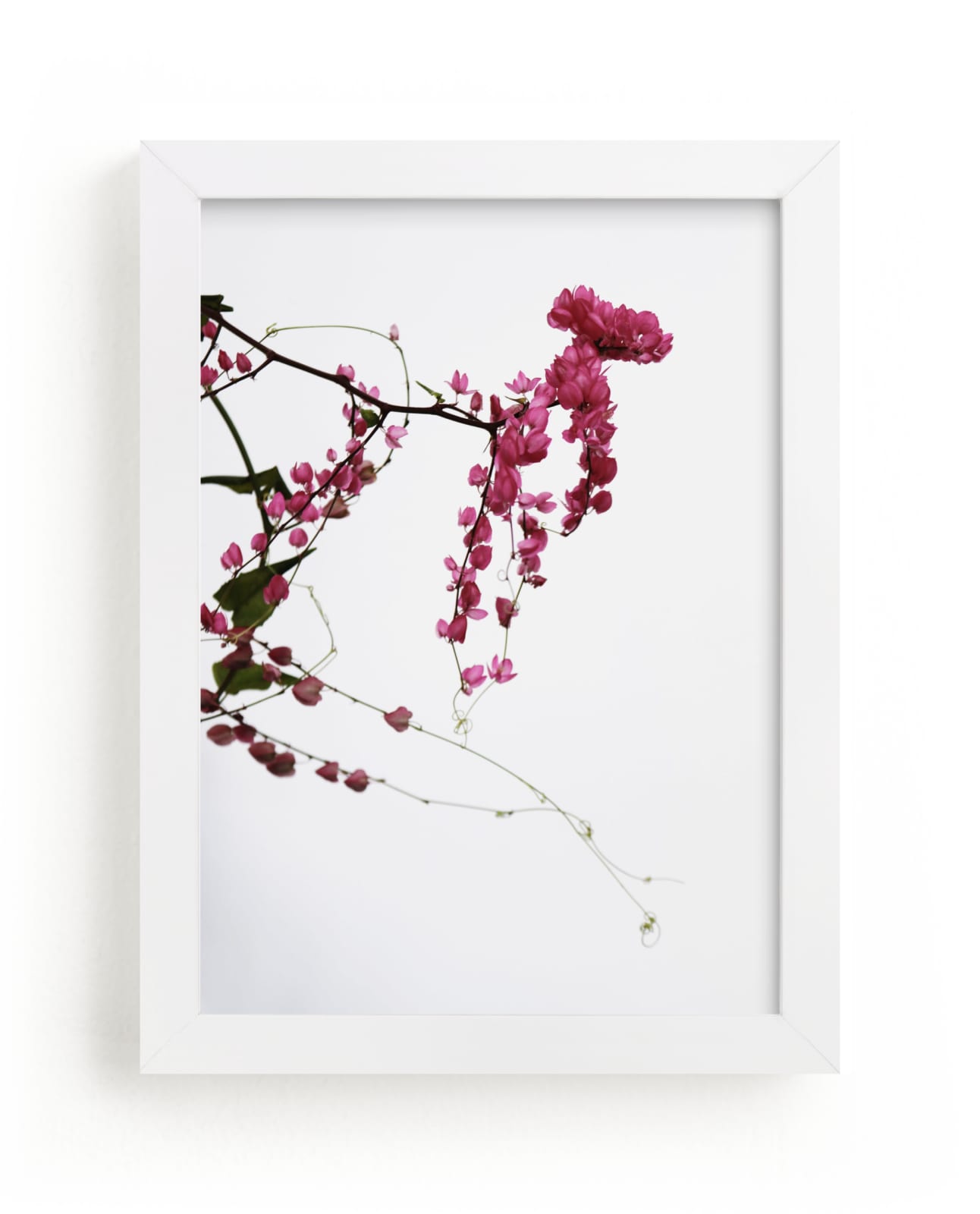 "Botanica I" - Art Print in Fuschia by Blustery August - Framed