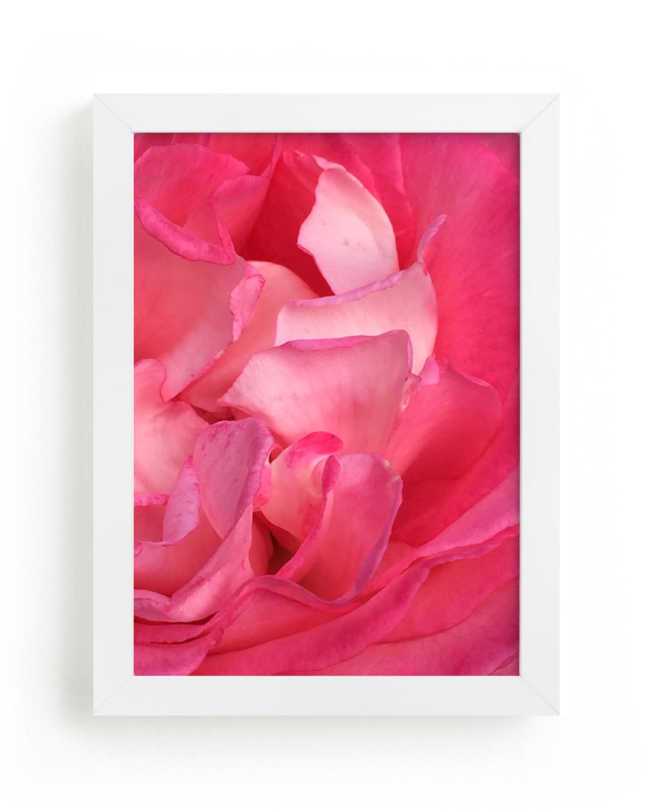"Rose Petals" - Art Print by Jan Kessel in beautiful frame options and a variety of sizes.