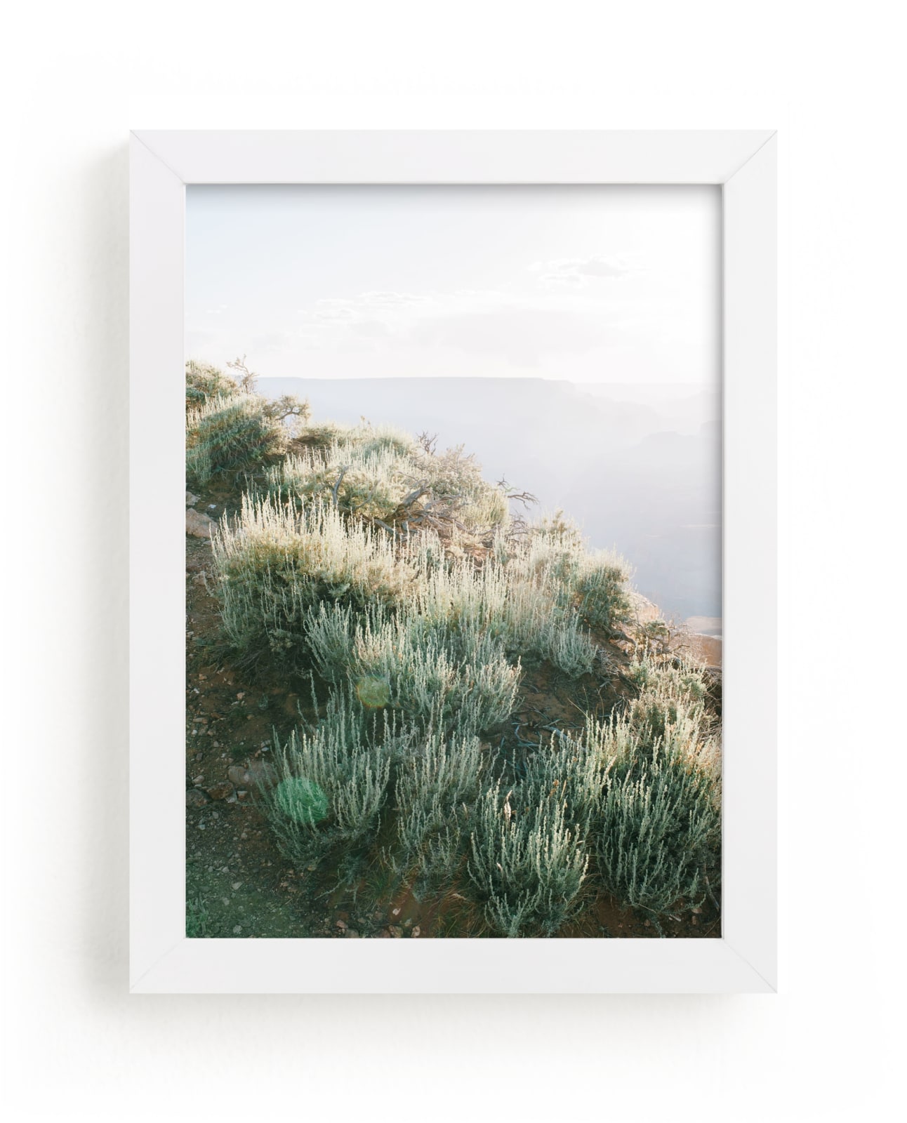 "Desert Sage" - Art Print by Anna Western in beautiful frame options and a variety of sizes.