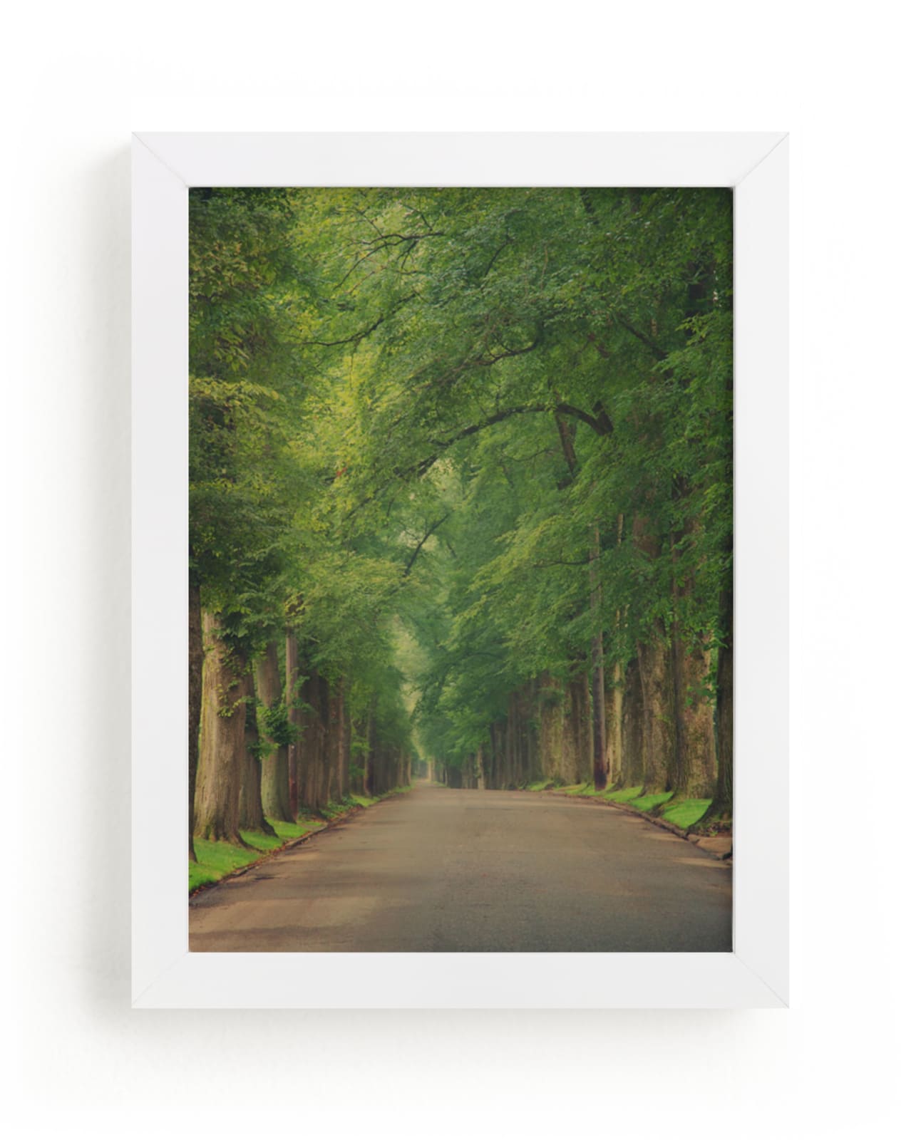 "The Street I Live On" - Art Print by Erin Niehenke in beautiful frame options and a variety of sizes.