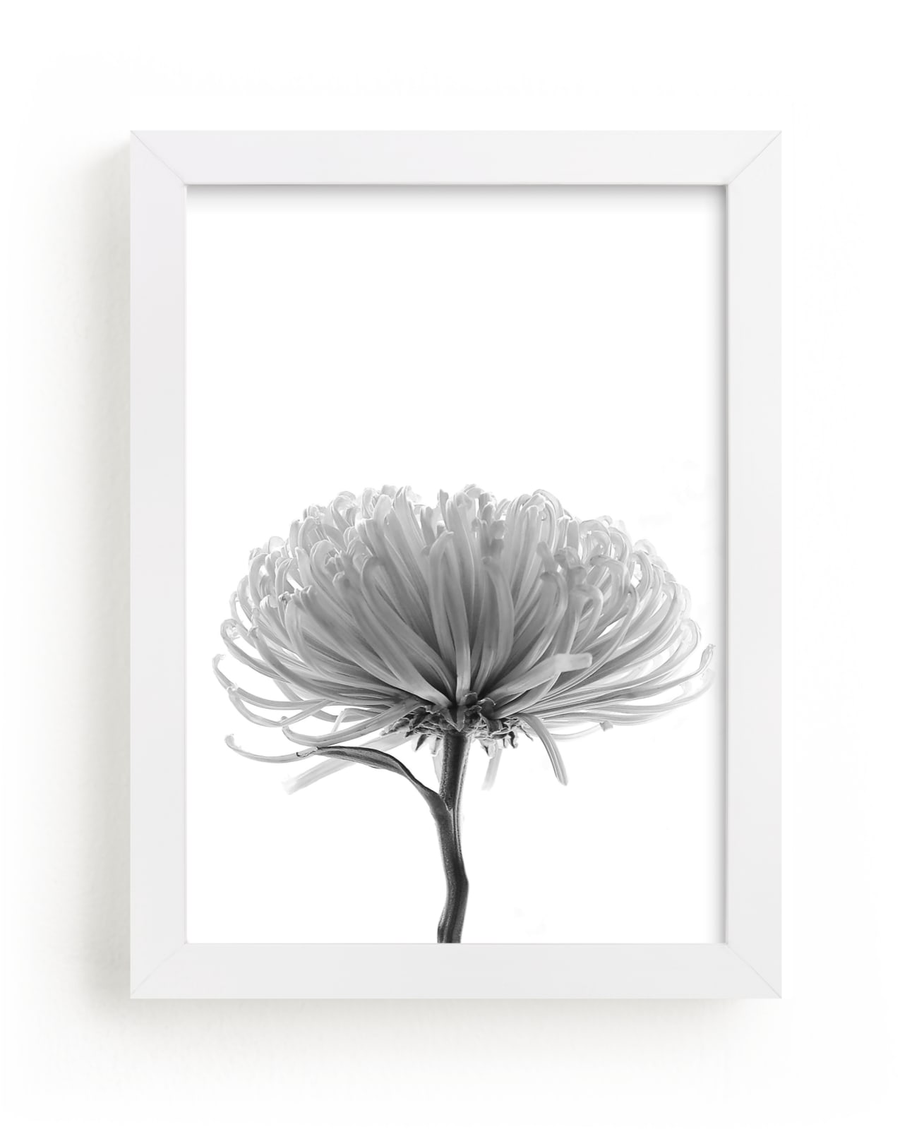 "In my Window" - Art Print by Johanna Phillips Huuva in beautiful frame options and a variety of sizes.