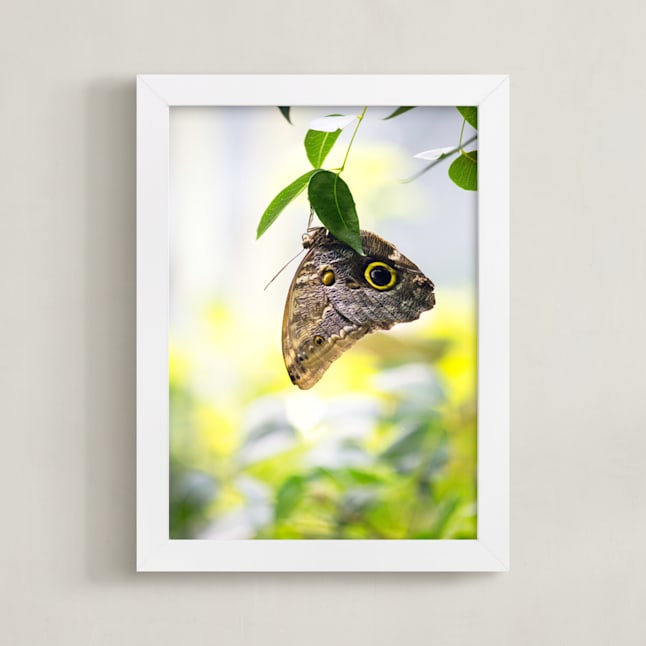 "Owl Eyed" - Art Print in Green by raven erebus - Framed