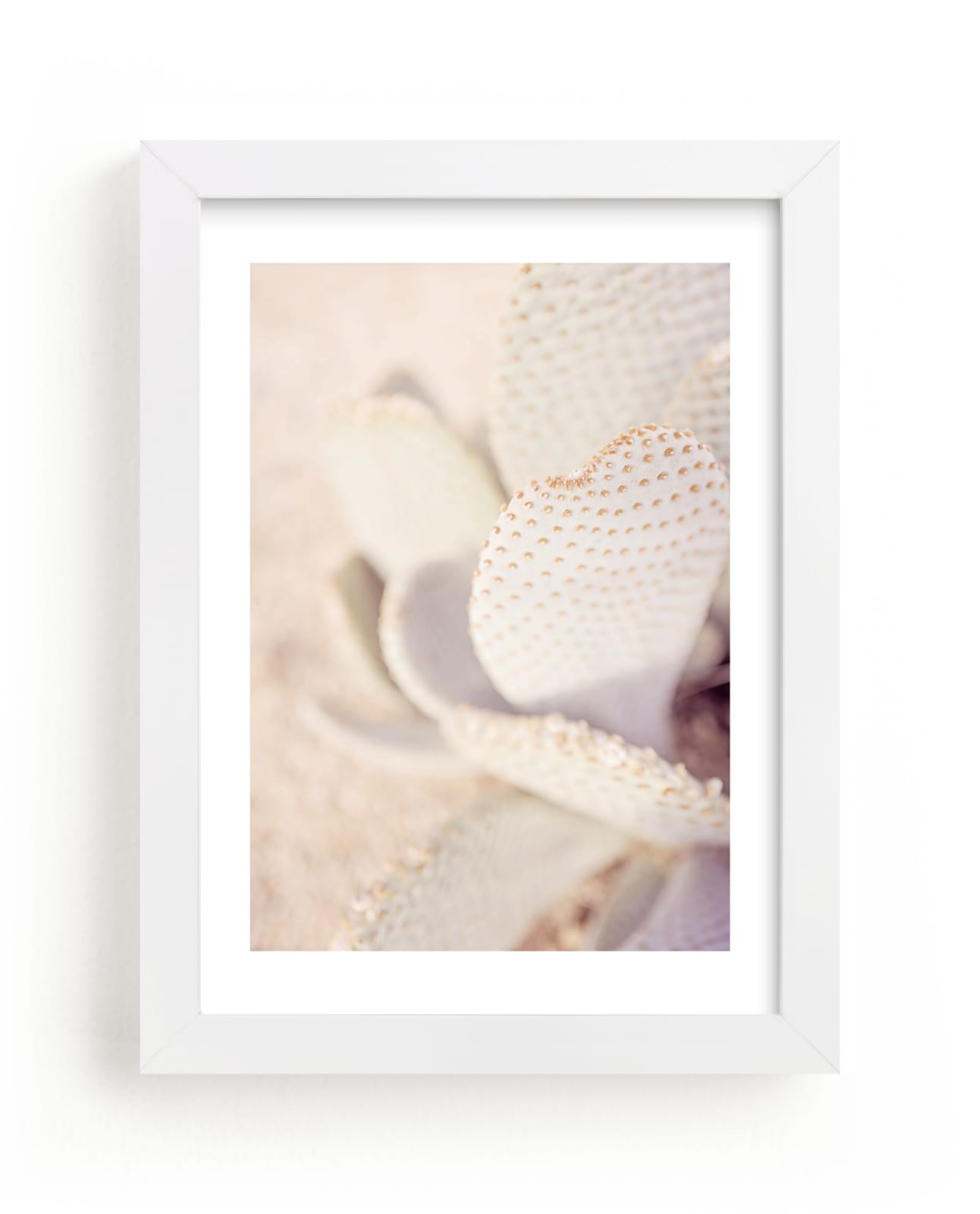 "Painted Cactus" - Art Print by Tania Medeiros in beautiful frame options and a variety of sizes.