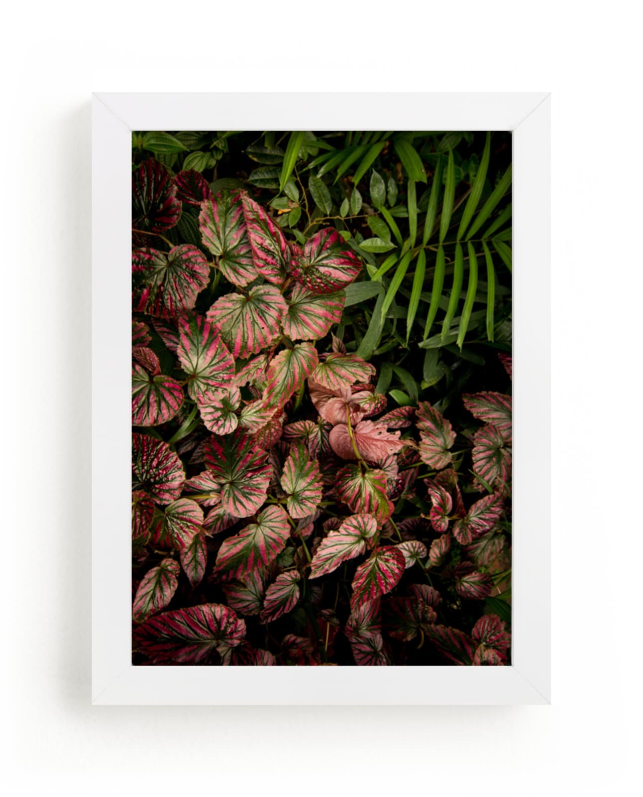 "The Jungle Room - Part 2" - Art Print by Owl and Toad in beautiful frame options and a variety of sizes.