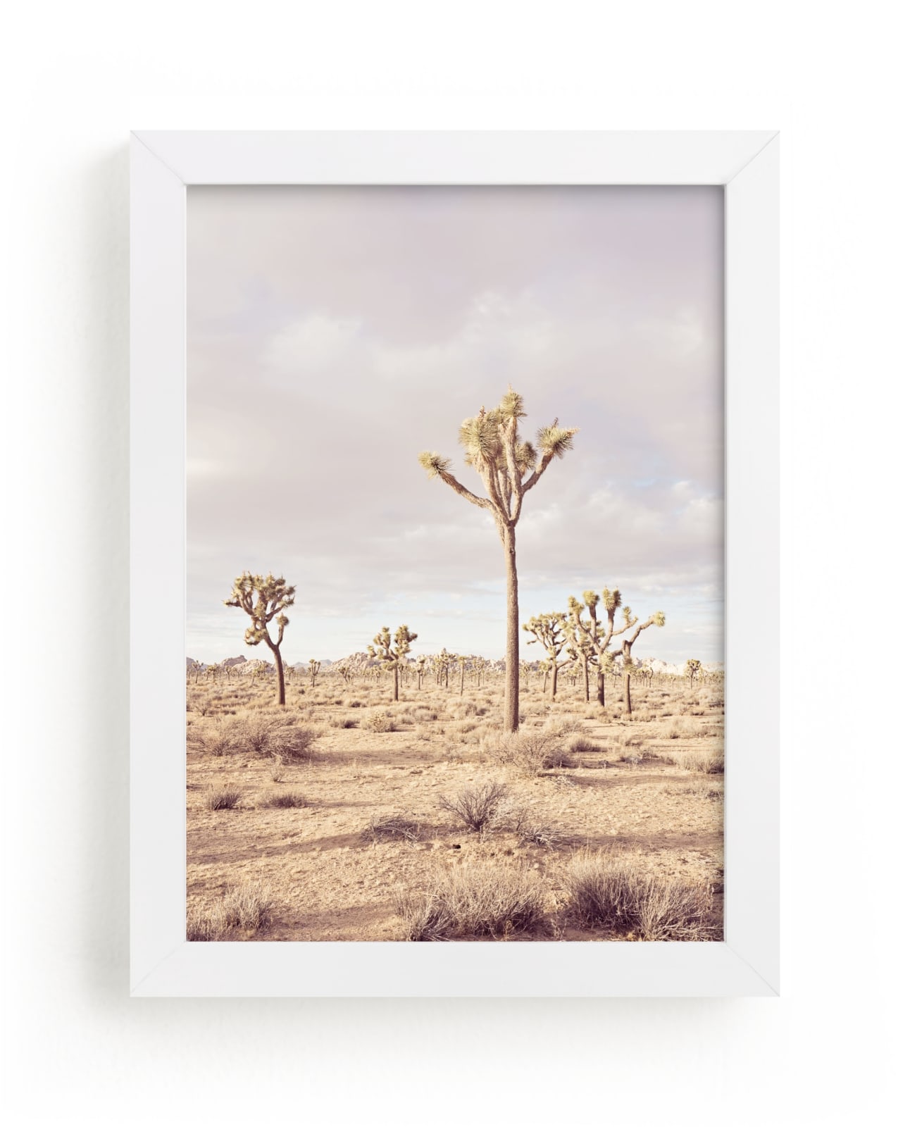 California Desert