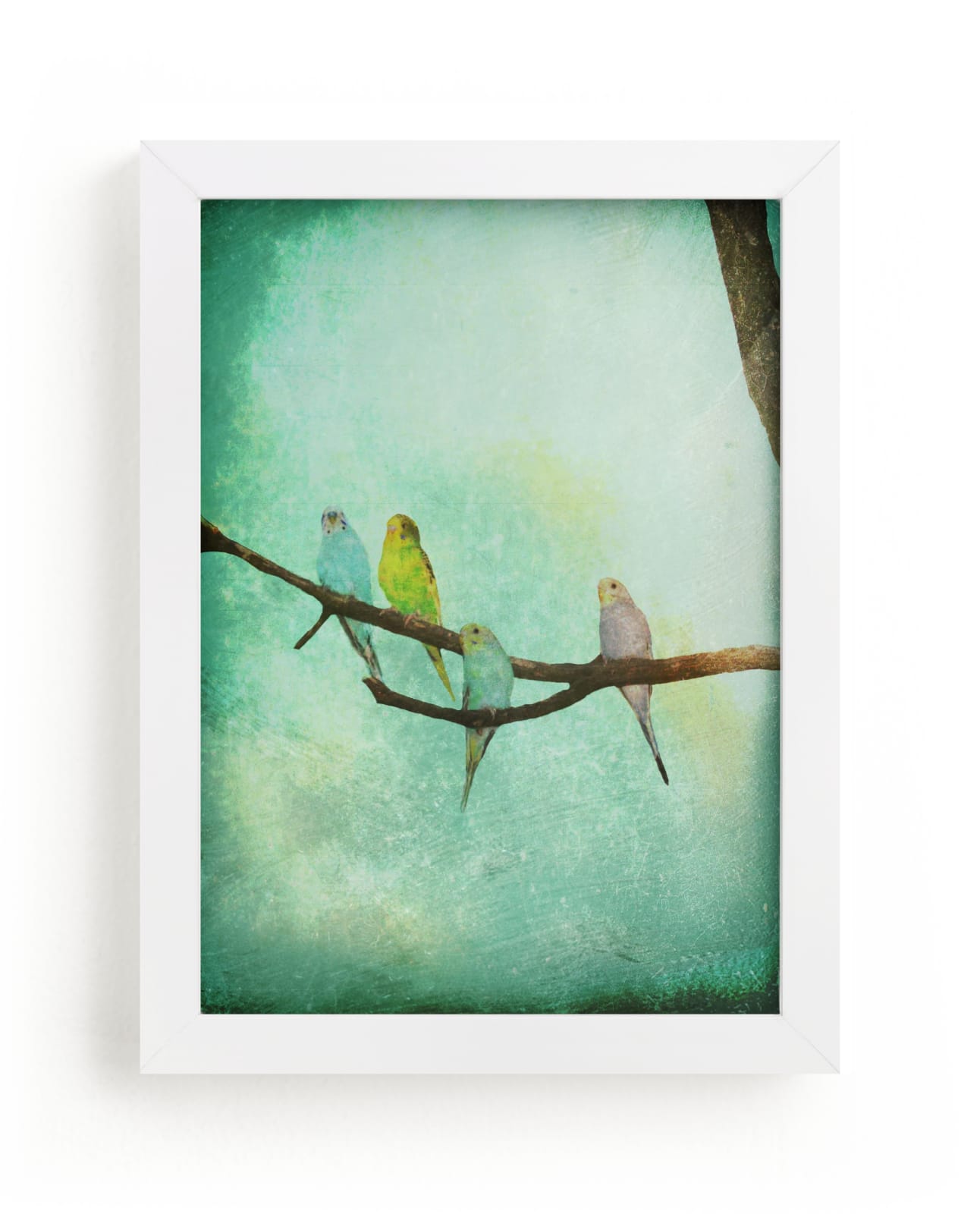 "Budgie Branch II" - Art Print by Red Impressionz in beautiful frame options and a variety of sizes.