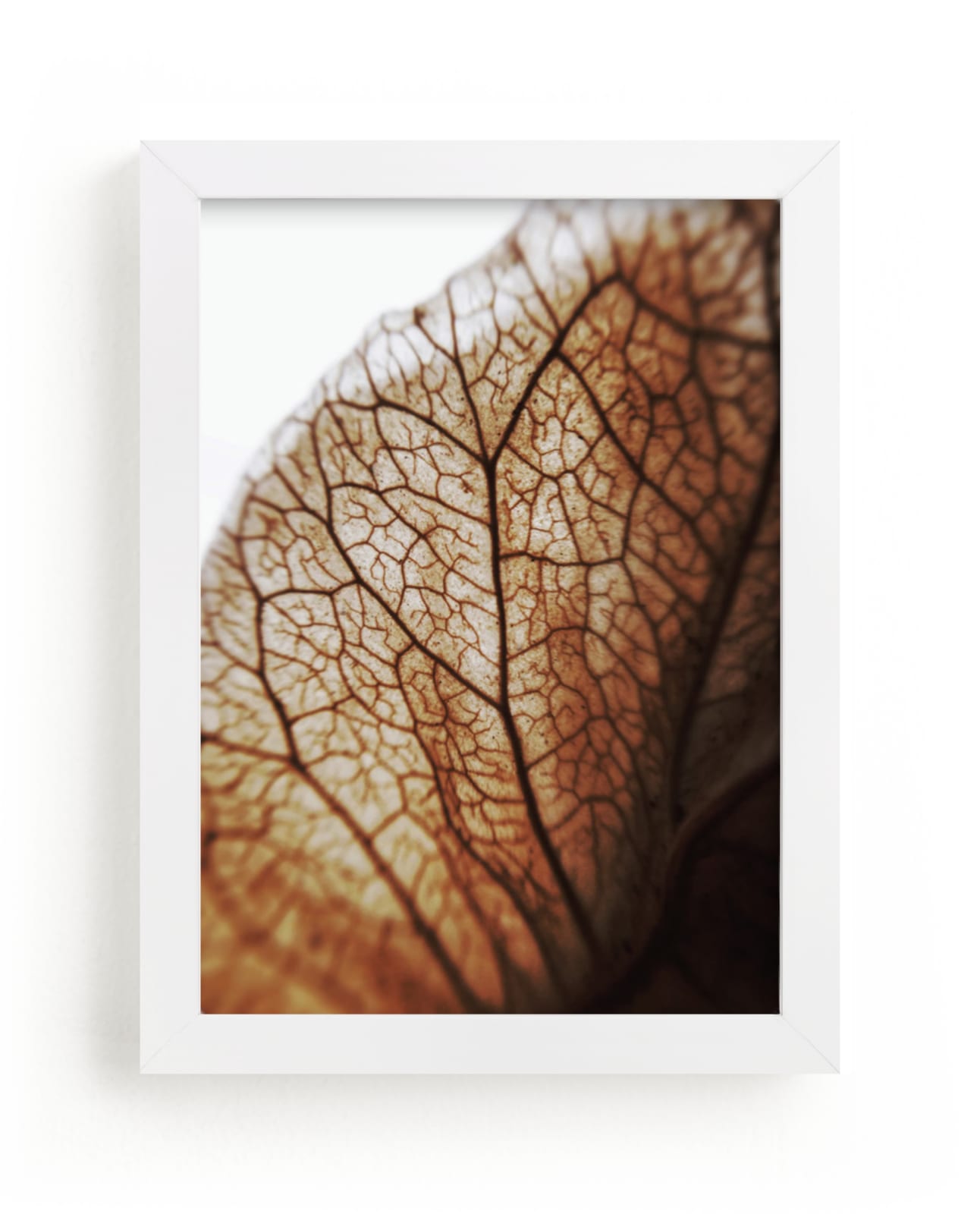 "Beauty in the details 2" - Art Print by Aspa Gika in beautiful frame options and a variety of sizes.