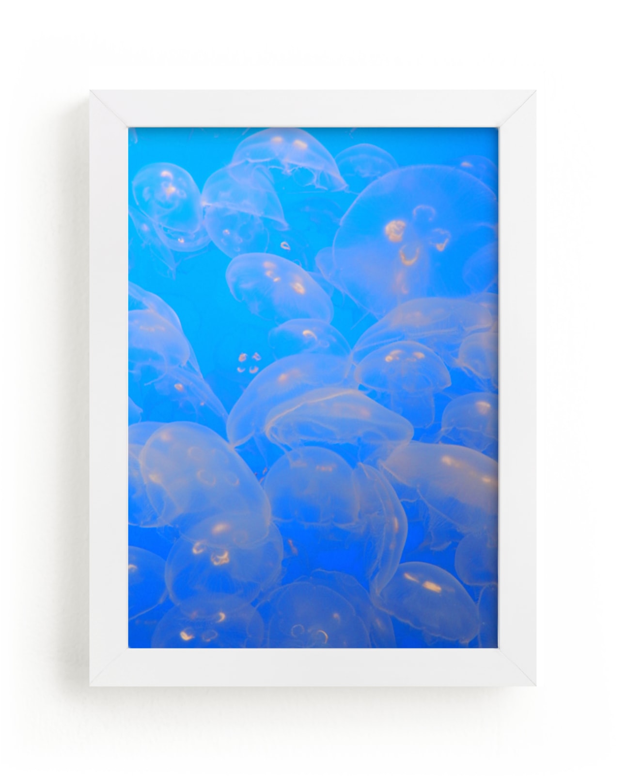 "Moon Jellies 2" - Art Print by Jan Kessel in beautiful frame options and a variety of sizes.