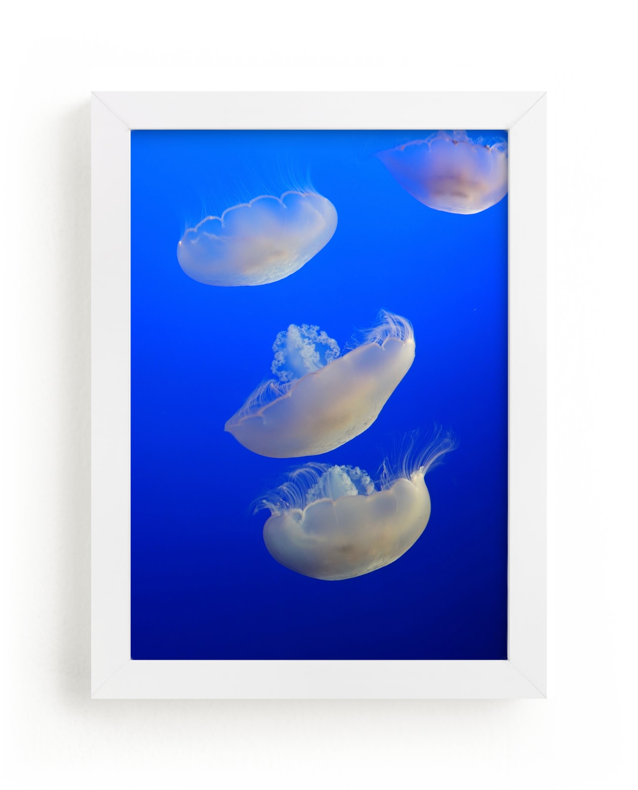"Jelly 3" - Art Print by Jan Kessel in beautiful frame options and a variety of sizes.