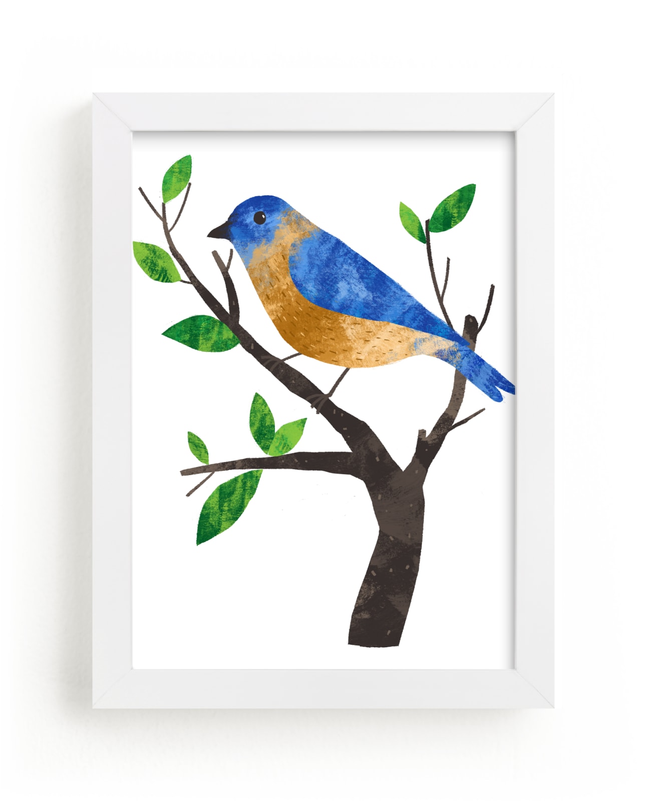 "Eastern Bluebird" - Art Print by Alf and Auguri in beautiful frame options and a variety of sizes.
