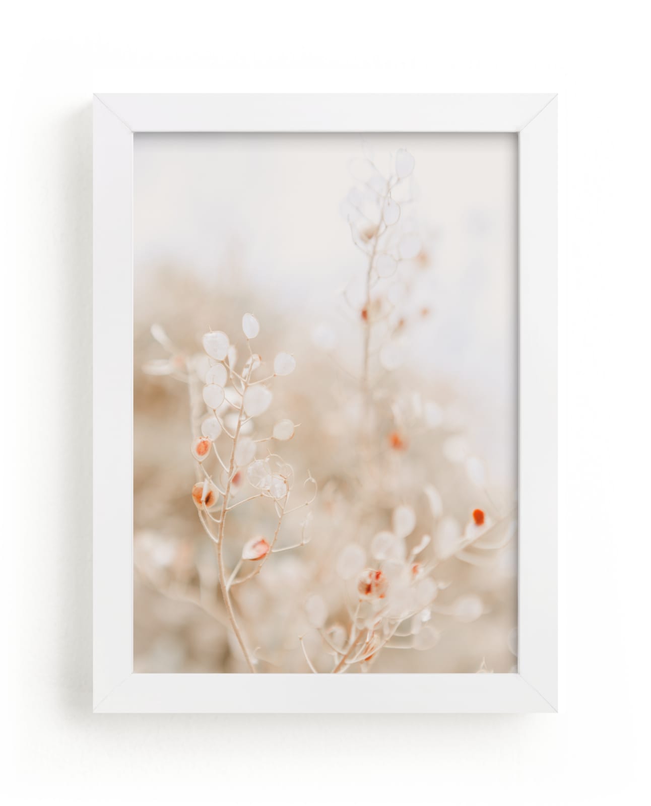"Aegean Fauna" by Lindsay Ferraris Photography in beautiful frame options and a variety of sizes.
