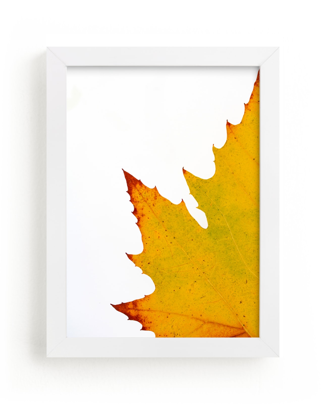 "Colors of Fall" by Alexis Arnold in beautiful frame options and a variety of sizes.