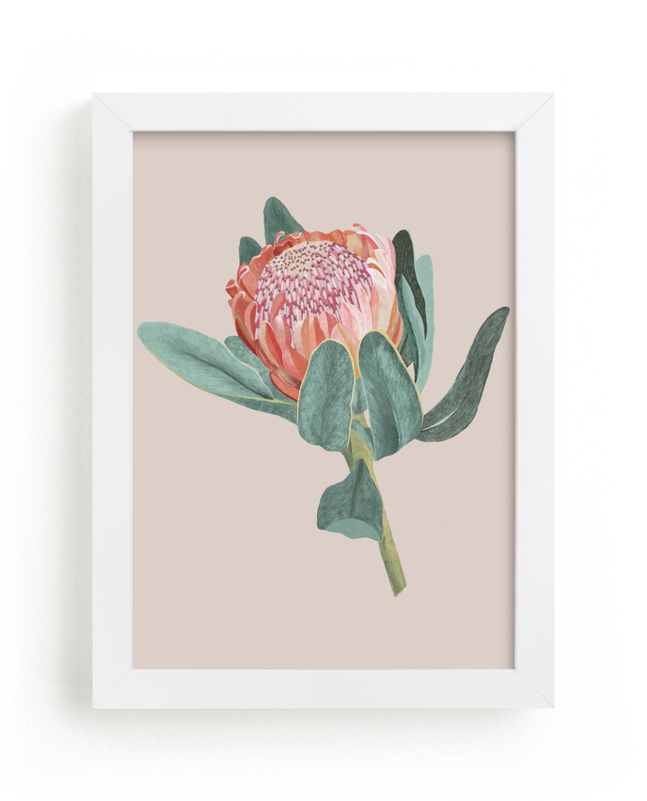 "Protea 1" by Nina Leth in beautiful frame options and a variety of sizes.