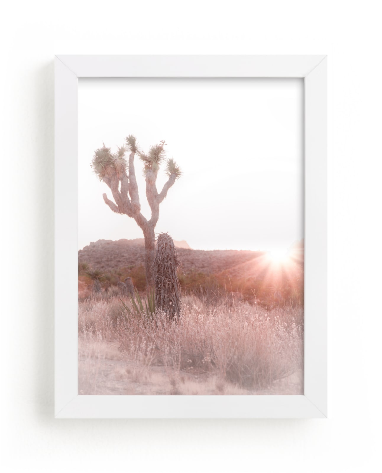 "Desert Blush 1" by Shannon Howard in beautiful frame options and a variety of sizes.