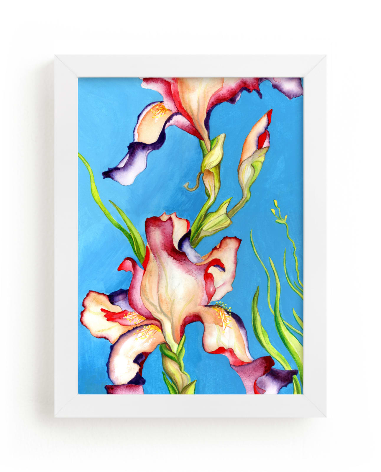 "Iris II, Colorful Floral" by Kathleen Ney in beautiful frame options and a variety of sizes.