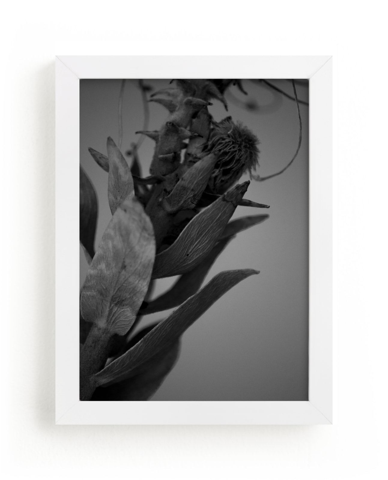 "veins" by Danielle LaRose in beautiful frame options and a variety of sizes.