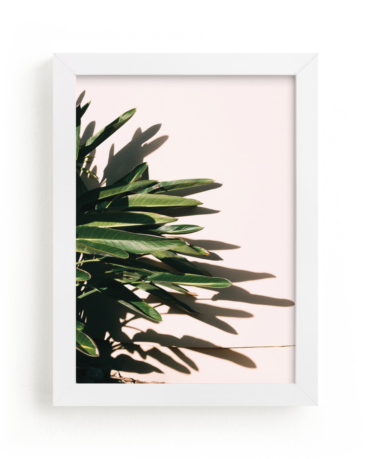 "In the Tropics" by Jenna Gibson in beautiful frame options and a variety of sizes.