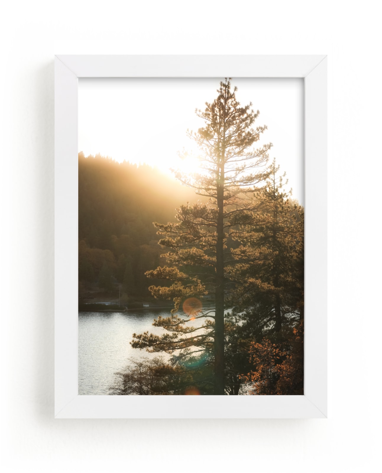 "Alpine Light 1" by Shannon Howard in beautiful frame options and a variety of sizes.