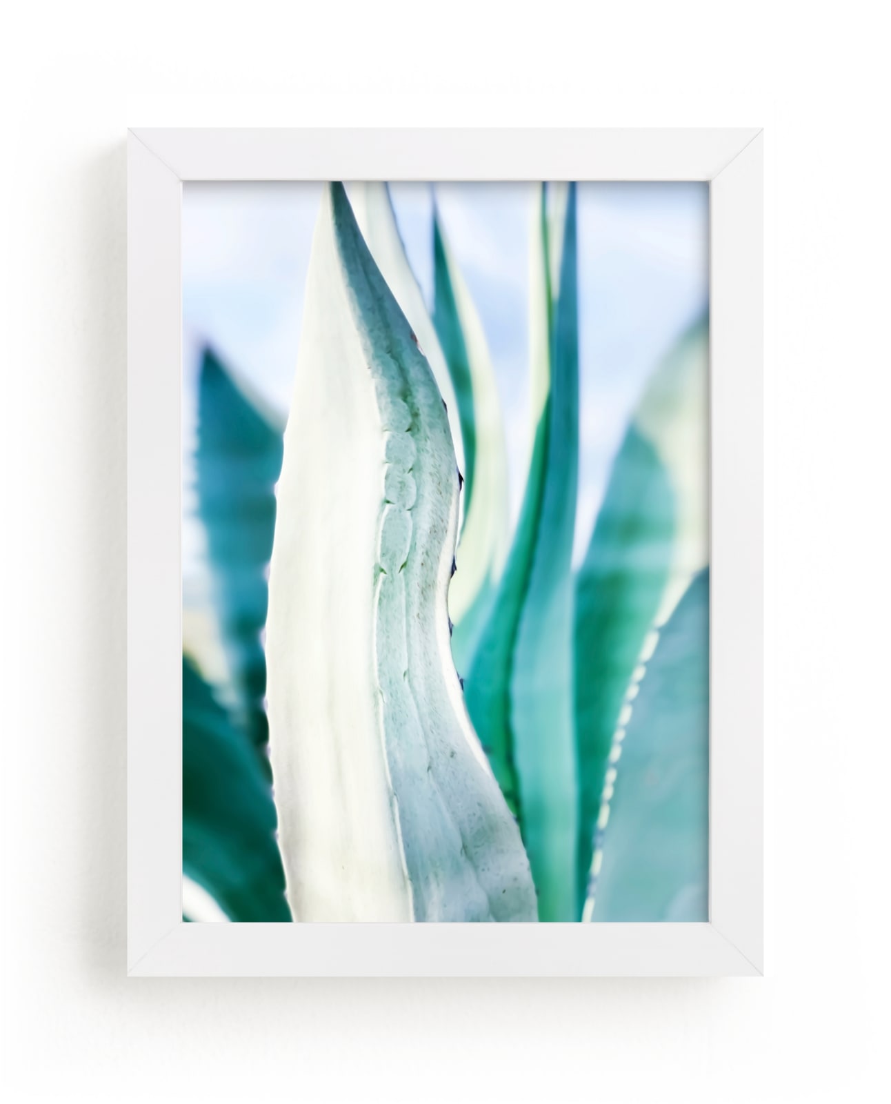 "Mint Agaves " by Melissa Agular in beautiful frame options and a variety of sizes.