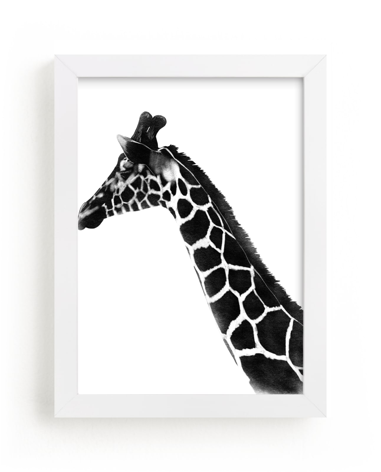 "Giraffe Charcoal Drawing" by Becky Nimoy in beautiful frame options and a variety of sizes.