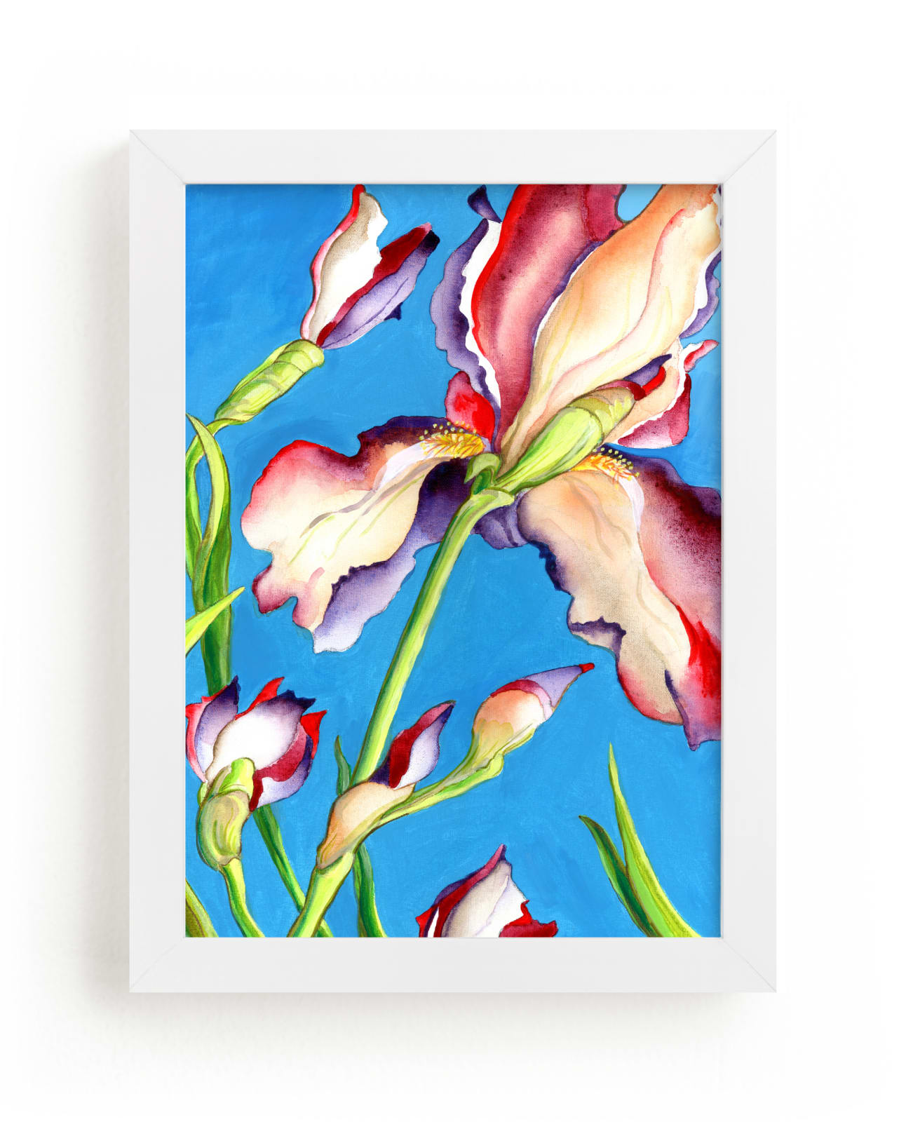"Iris I, Colorful Floral" by Kathleen Ney in beautiful frame options and a variety of sizes.