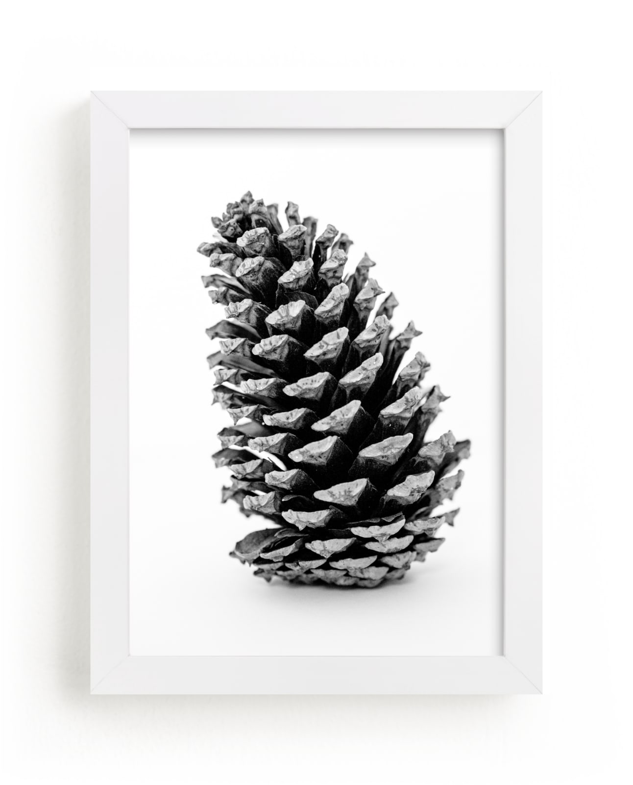 Tall Pine Cone