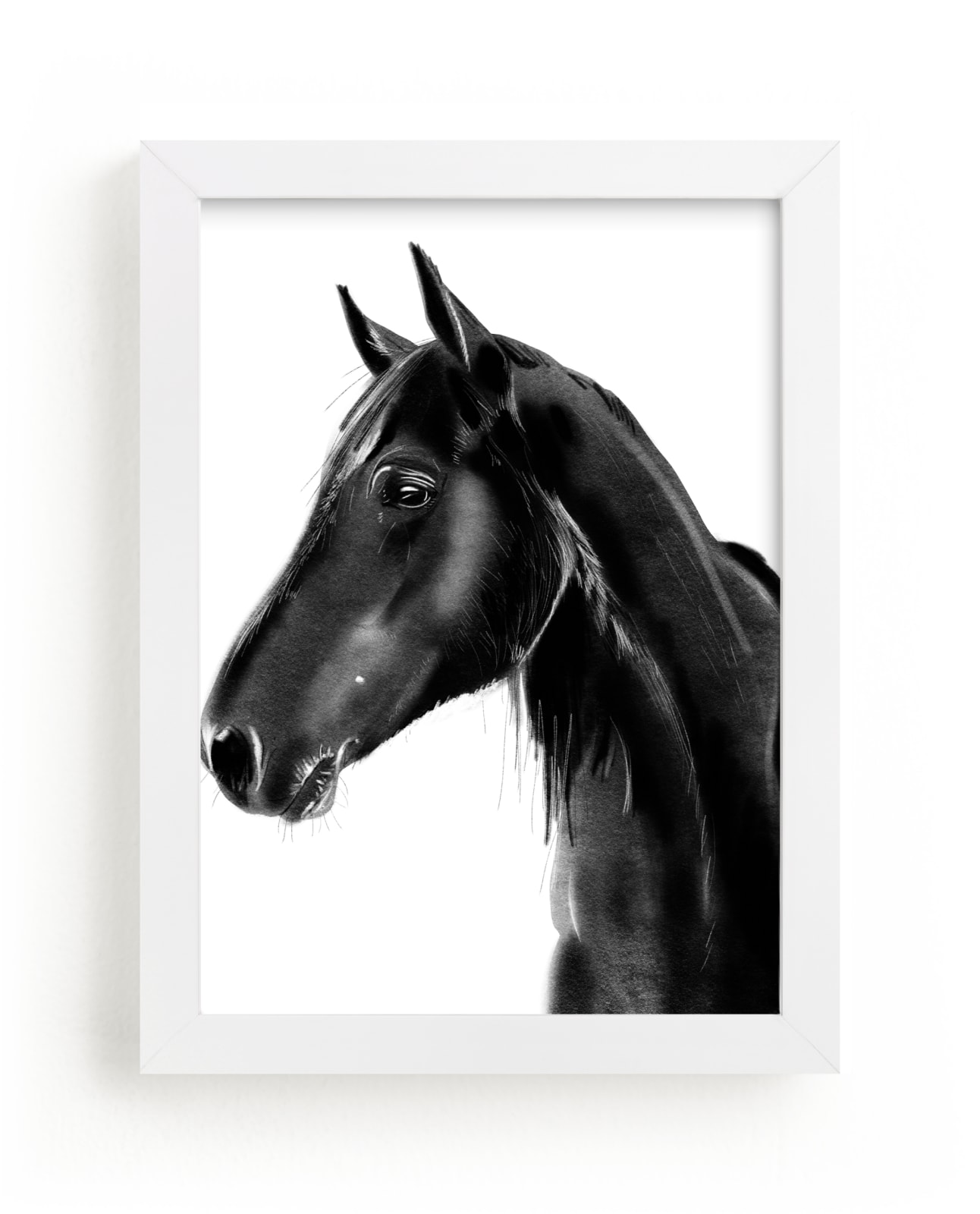 Horse Charcoal Drawing