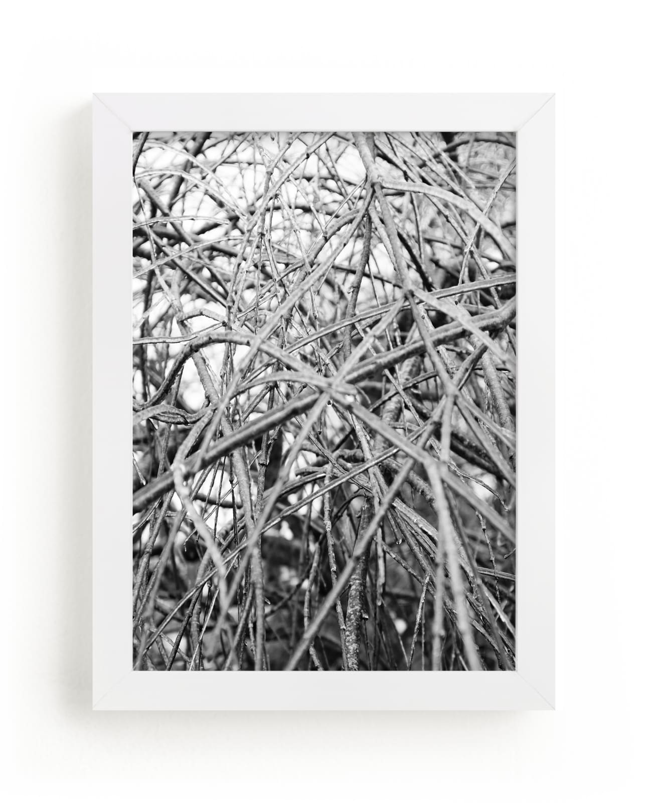 Ice Covered