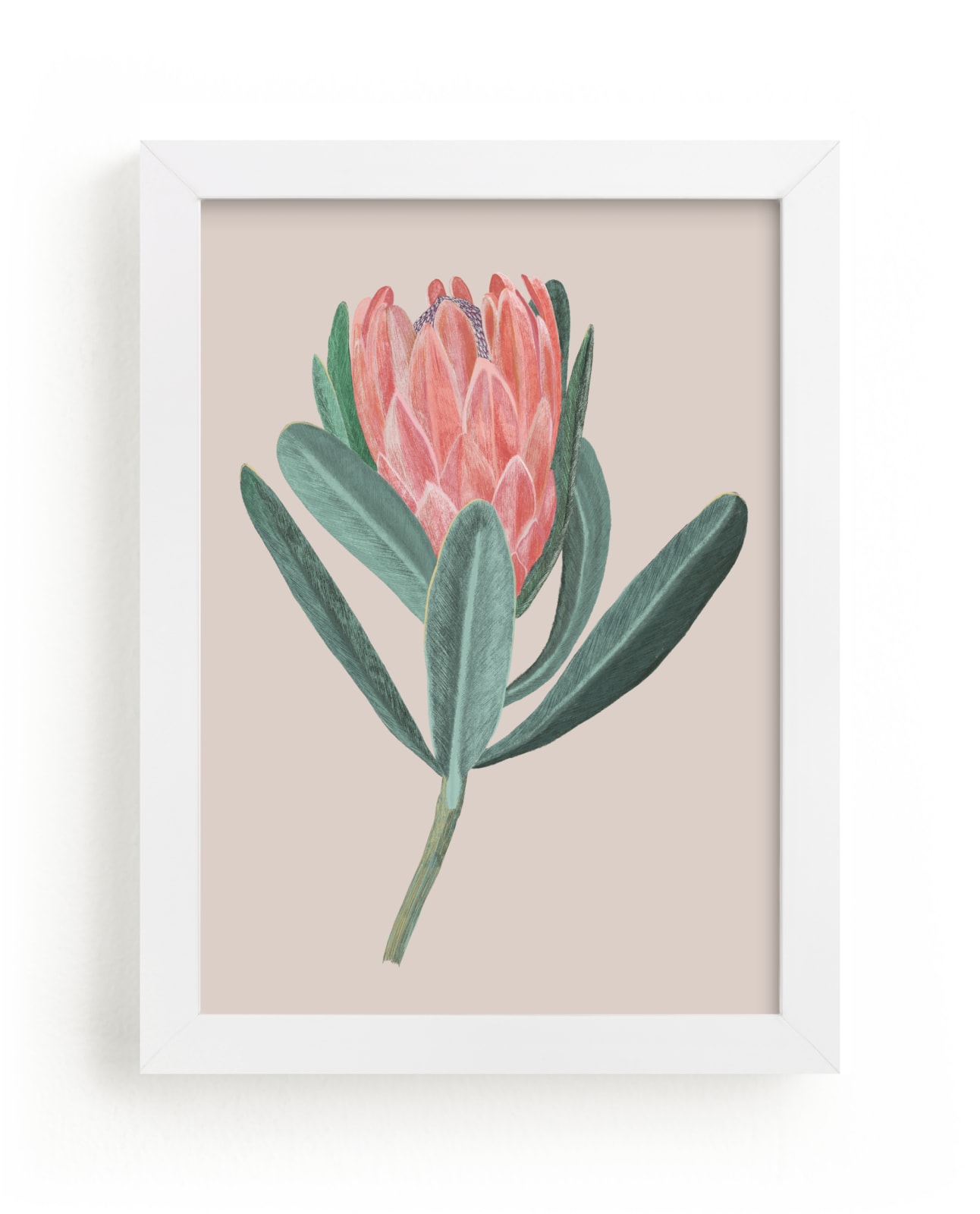"Protea 1b" by Nina Leth in beautiful frame options and a variety of sizes.