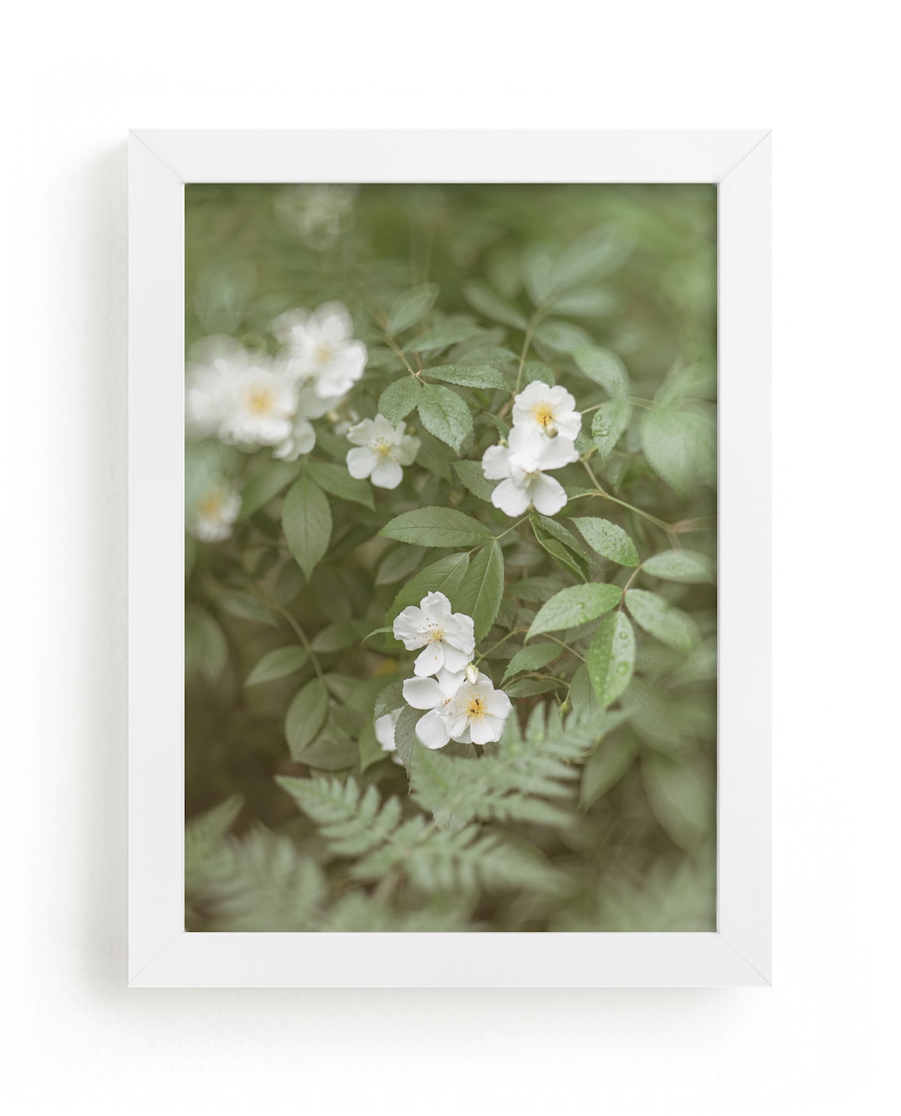 "Garden Flowers No. 4" by Lynann Colligan in beautiful frame options and a variety of sizes.
