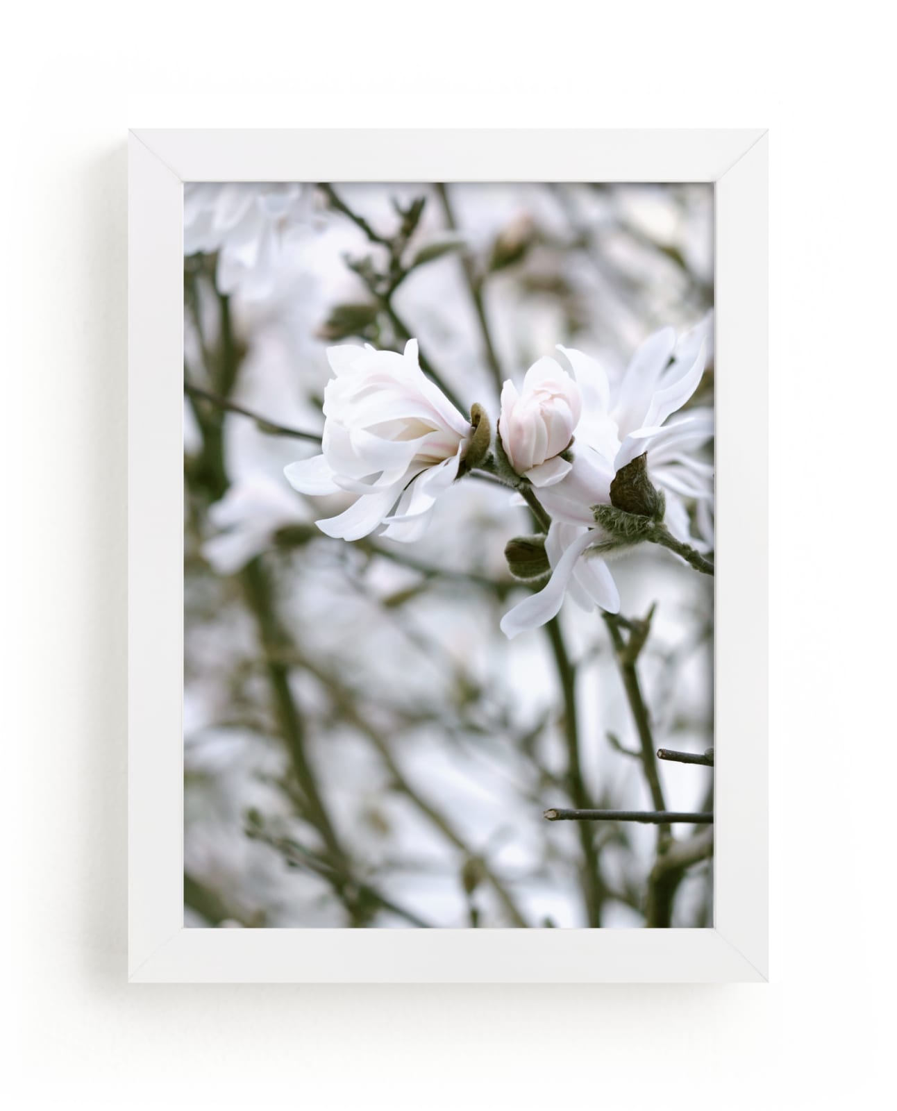 "Magnolia Blush" by Jayna B in beautiful frame options and a variety of sizes.